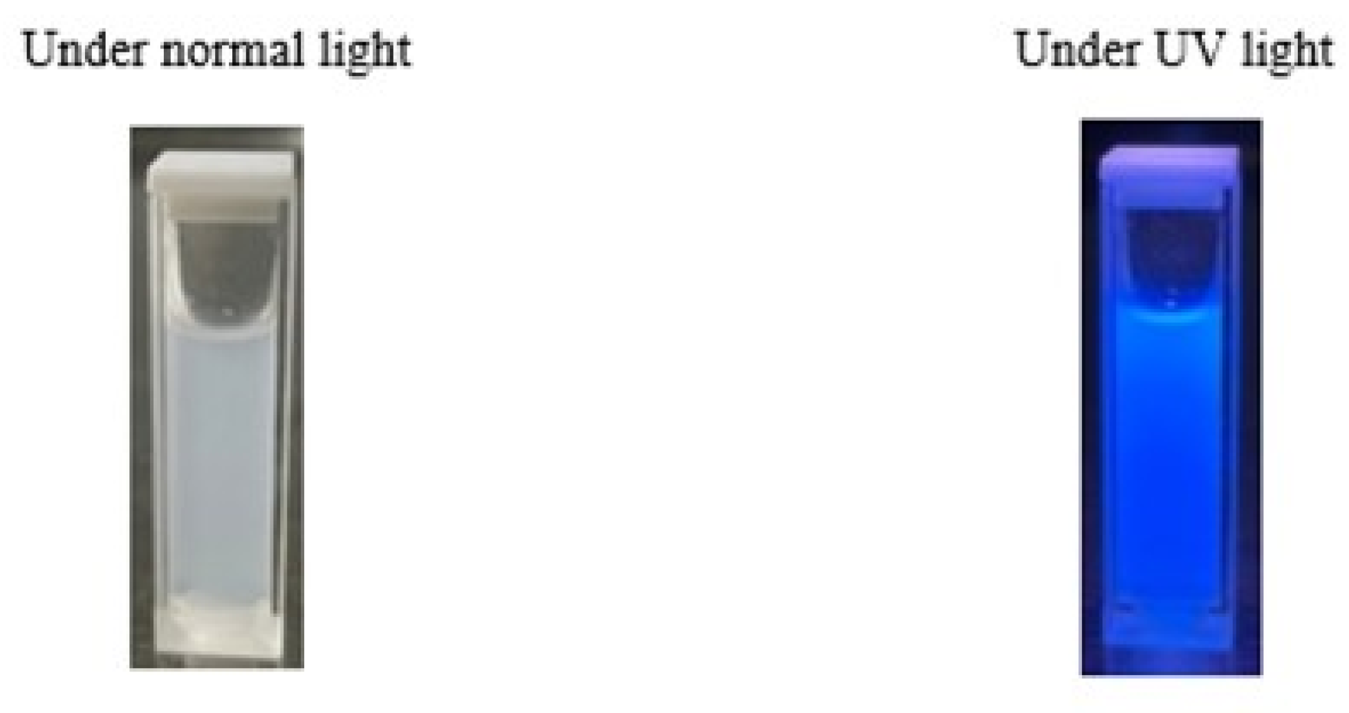 Polymers 15 03324 g010