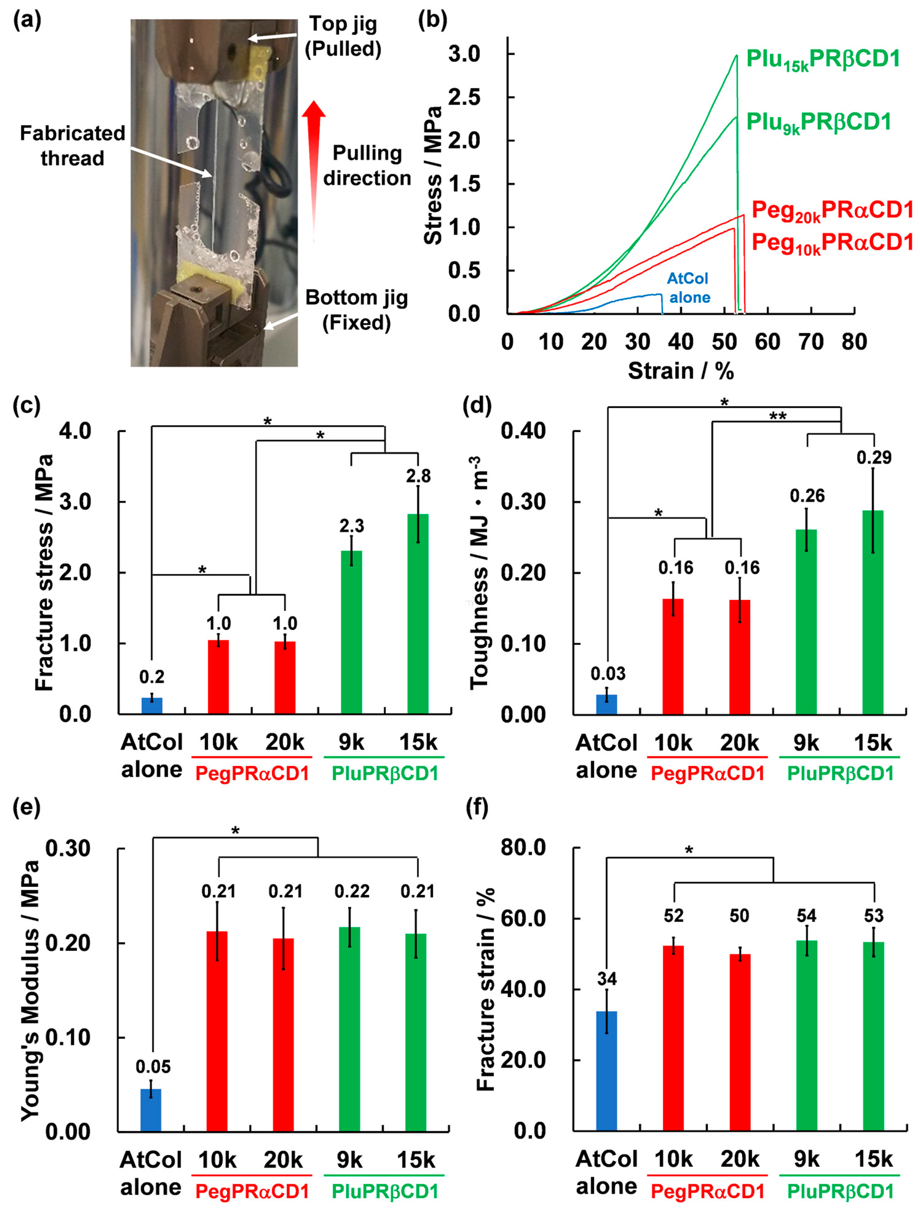 Polymers 15 03325 g005