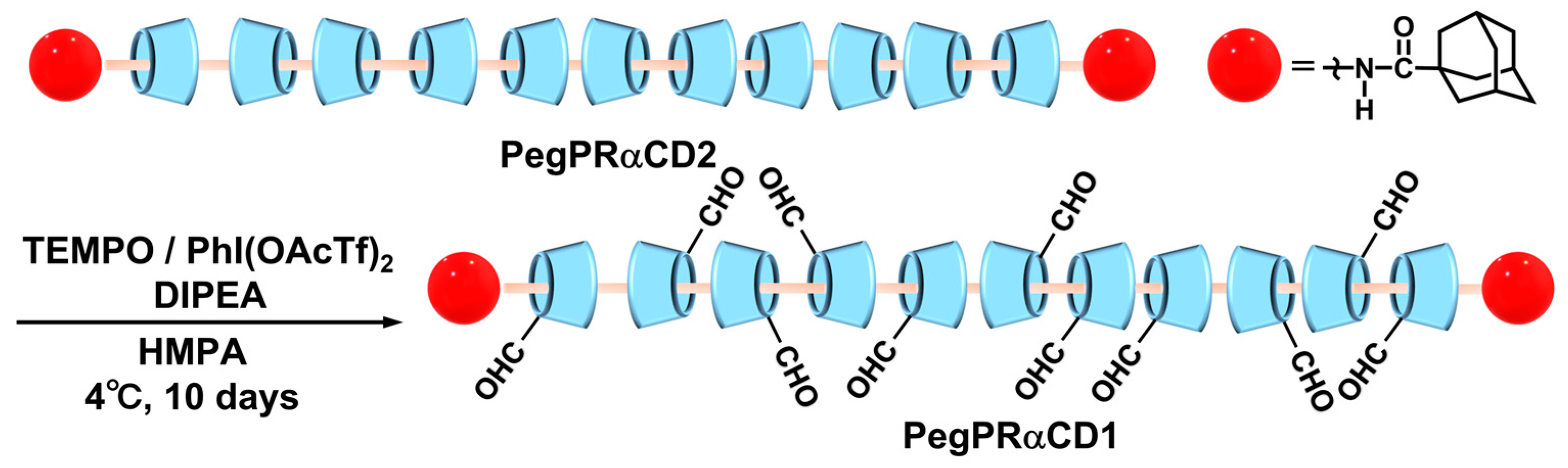 Polymers 15 03325 sch002