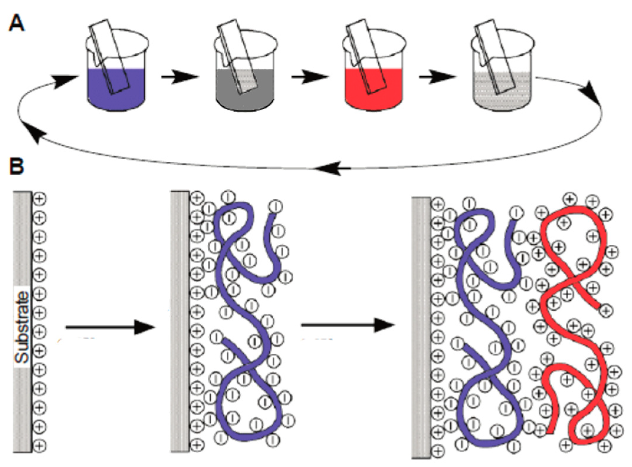 Polymers 15 03326 g005