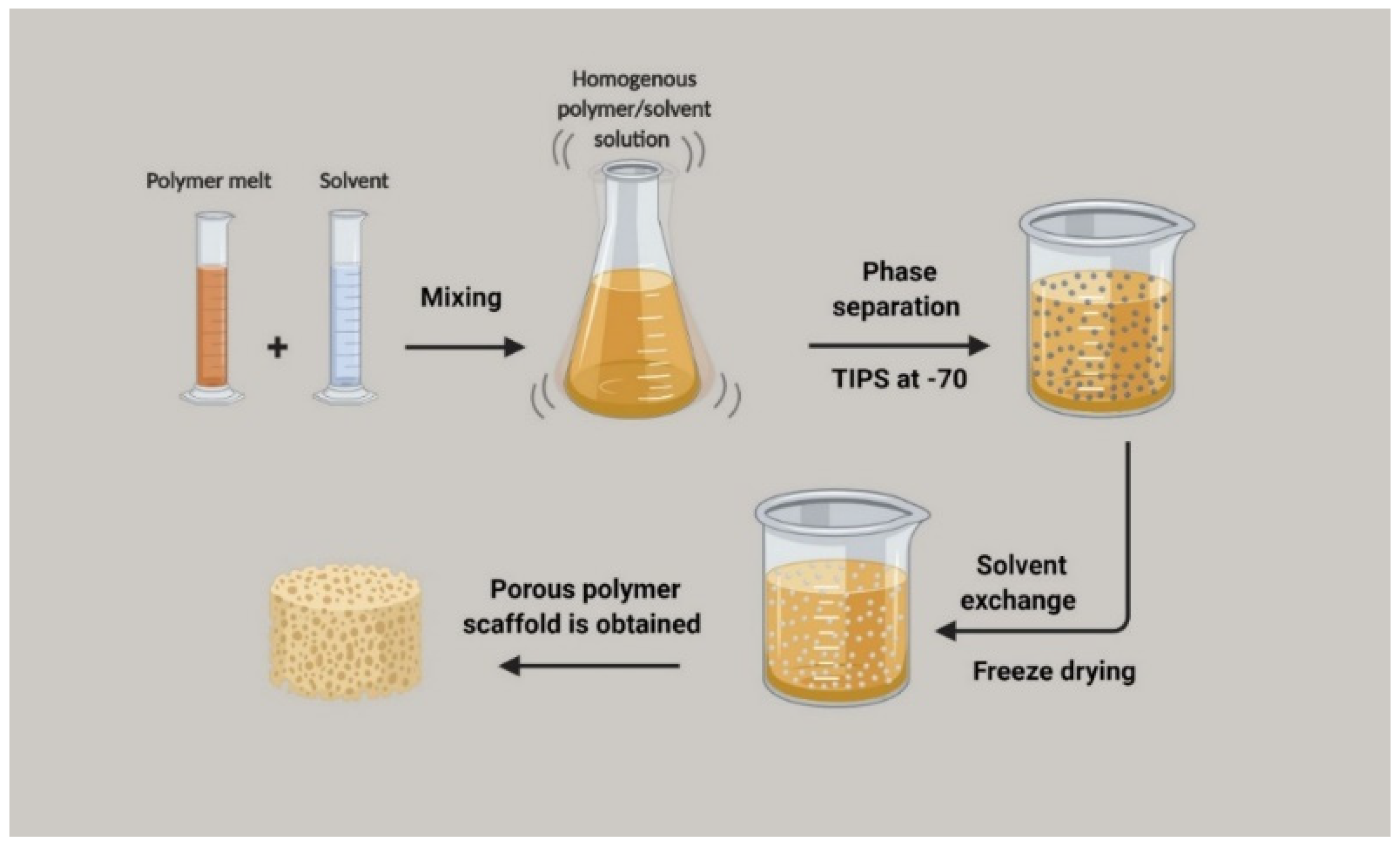 Polymers 15 03355 g006 Polymers 15 03355 g006