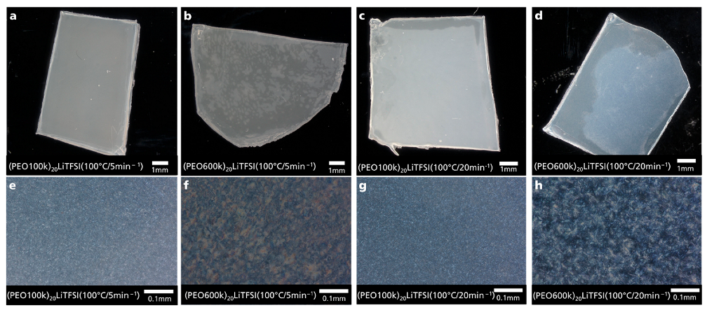 Polymers 15 03375 g006