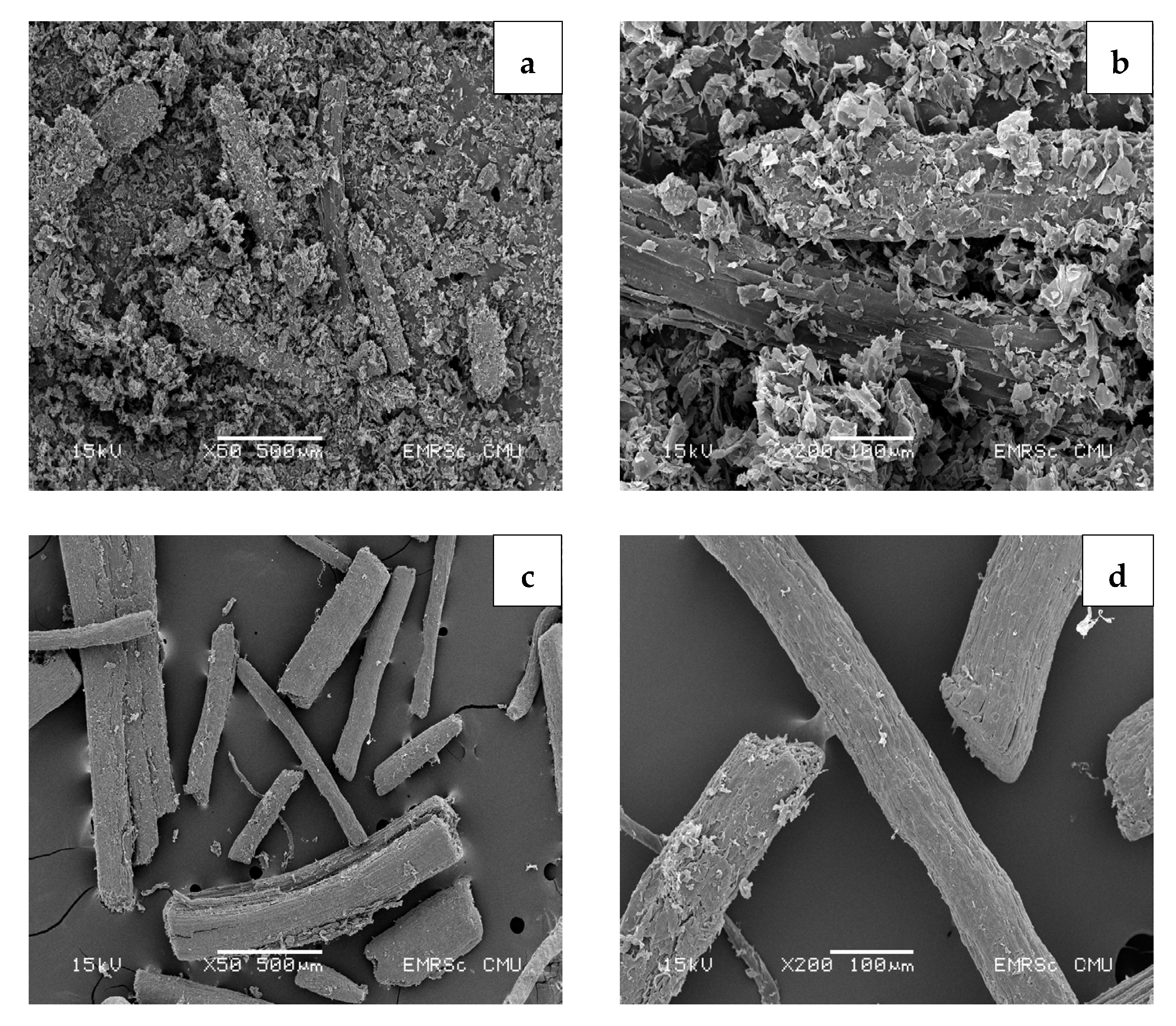 Polymers 15 03376 g005