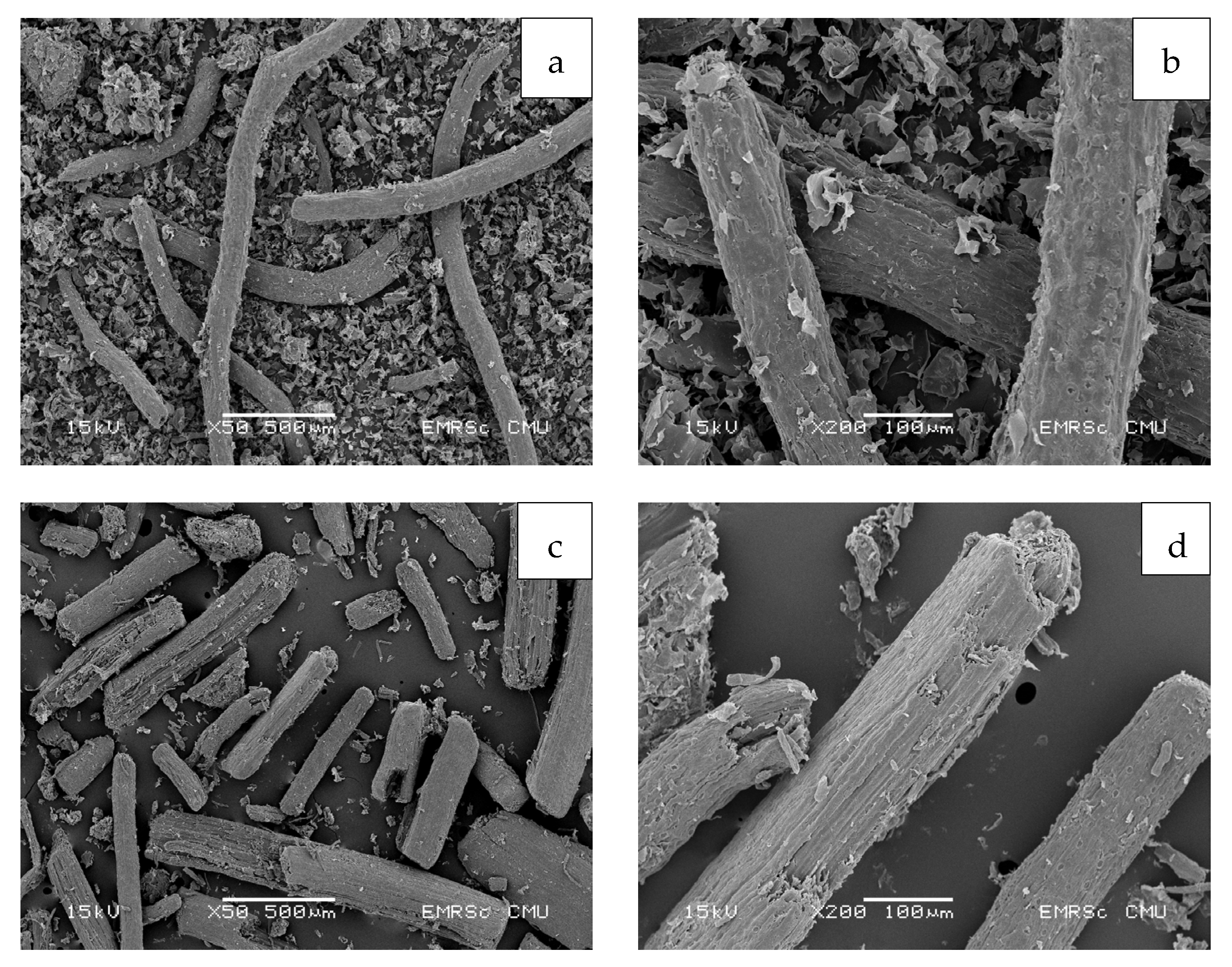 Polymers 15 03376 g006