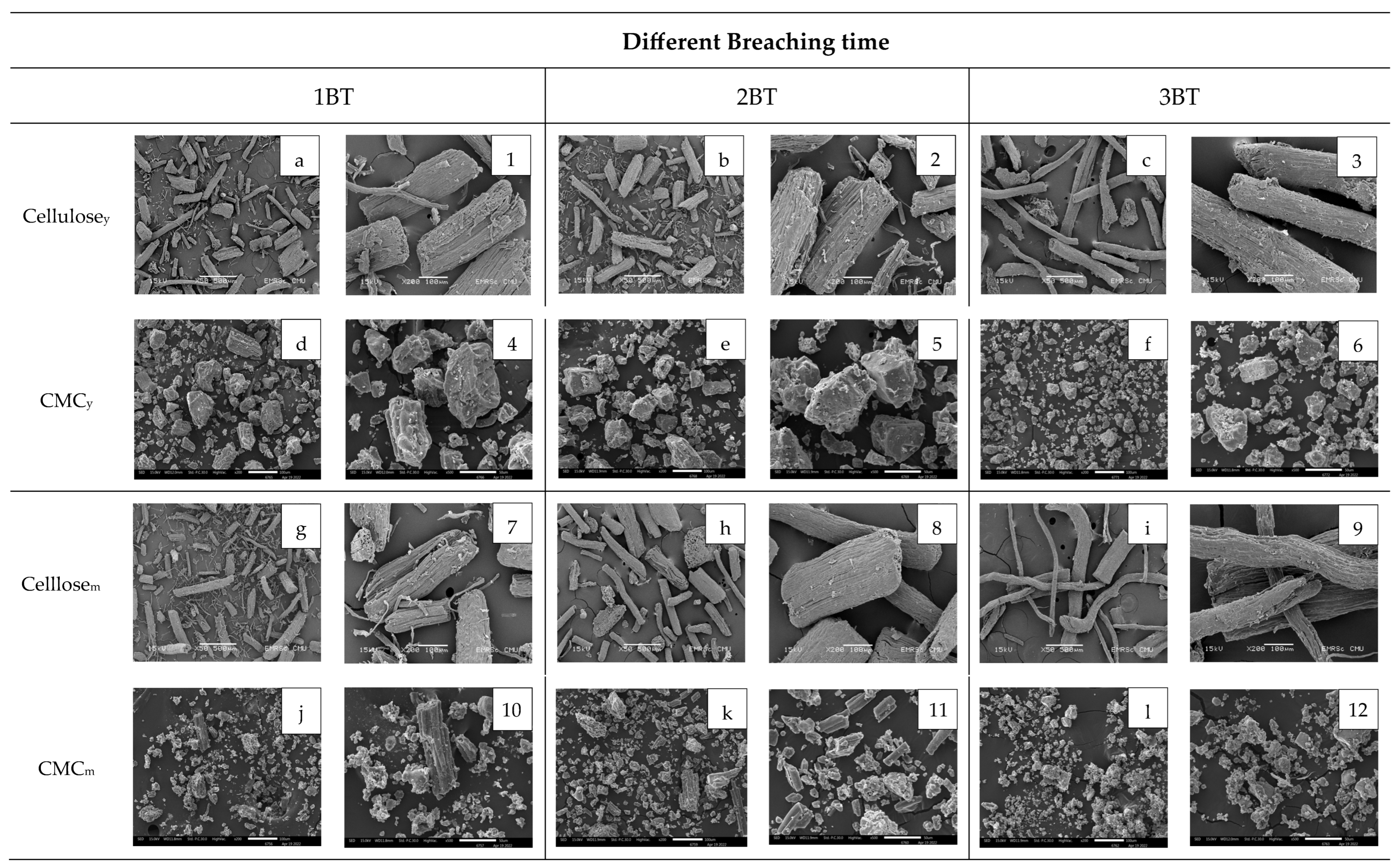 Polymers 15 03376 g007
