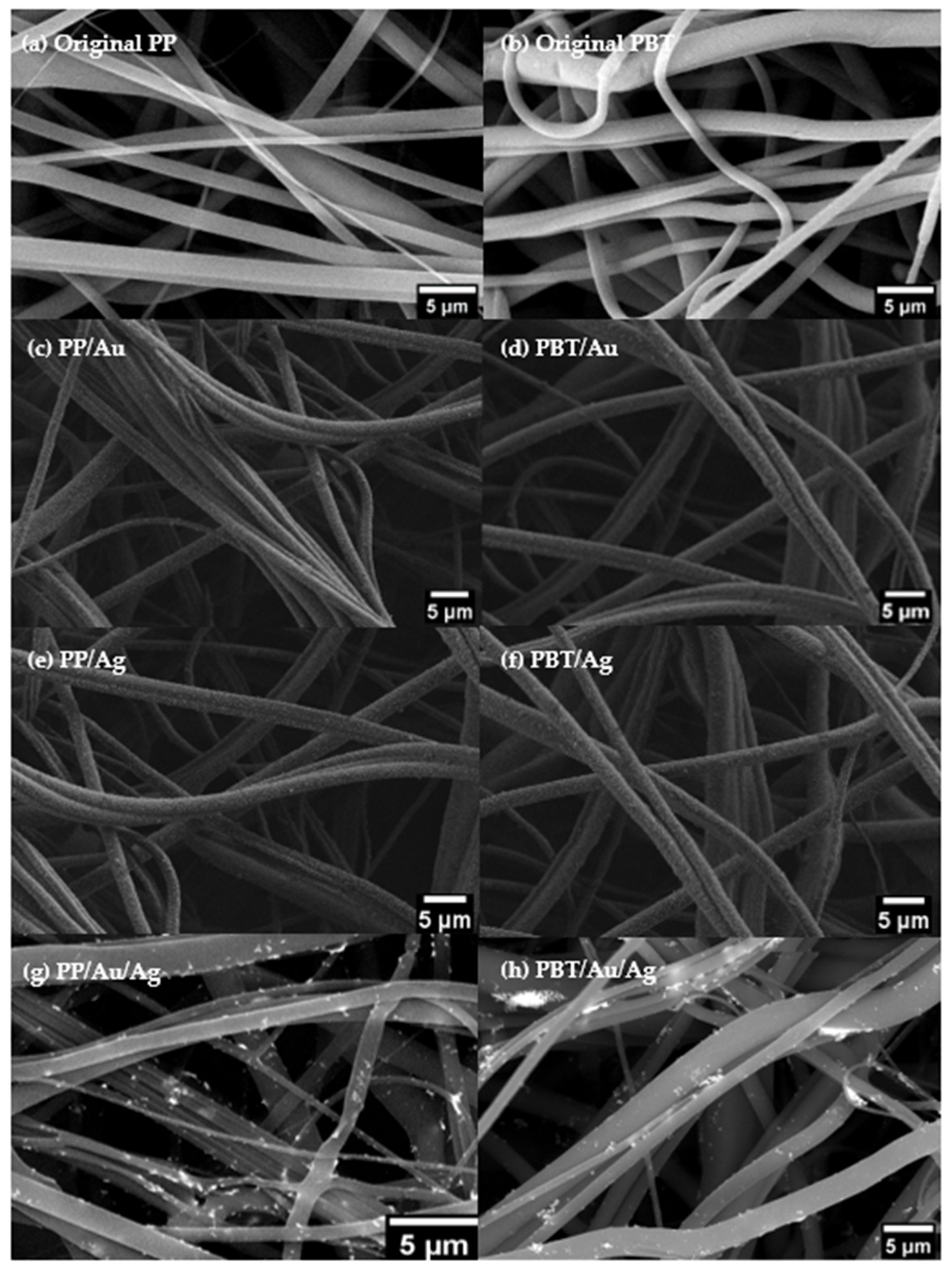 Polymers 15 03378 g004 Polymers 15 03378 g004