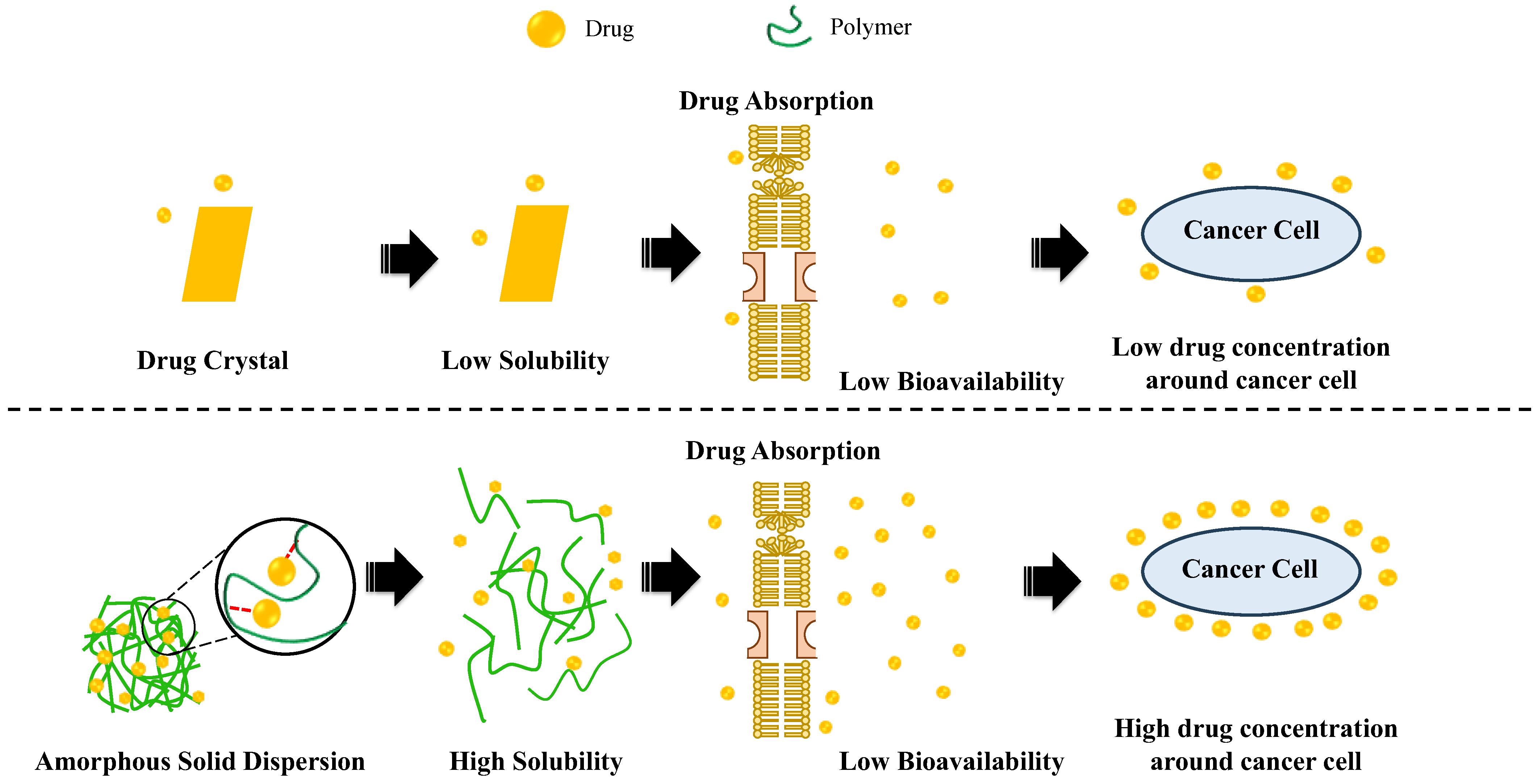 Polymers 15 03380 g005 Polymers 15 03380 g005