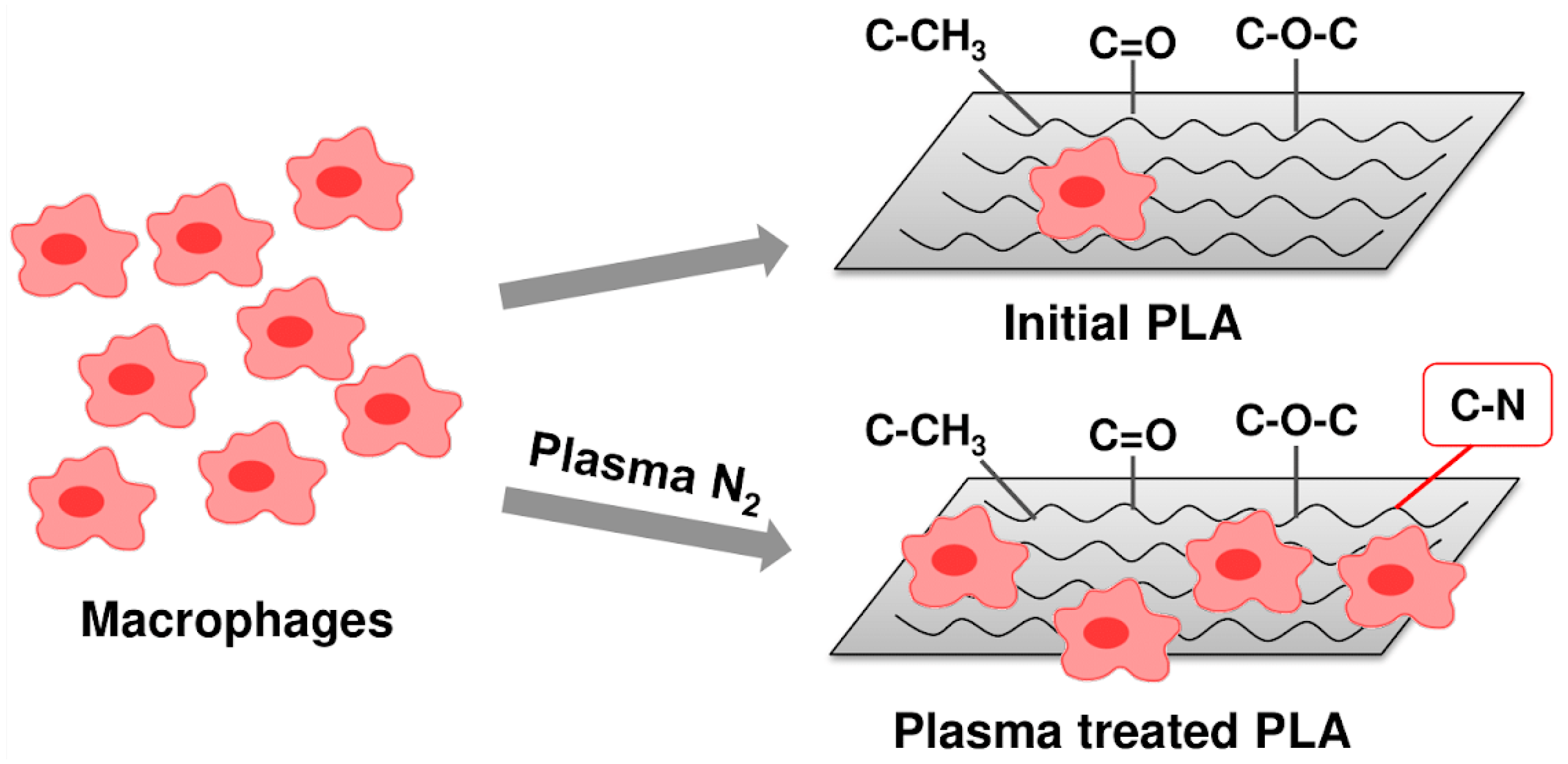 Polymers 15 03381 g013 Polymers 15 03381 g013