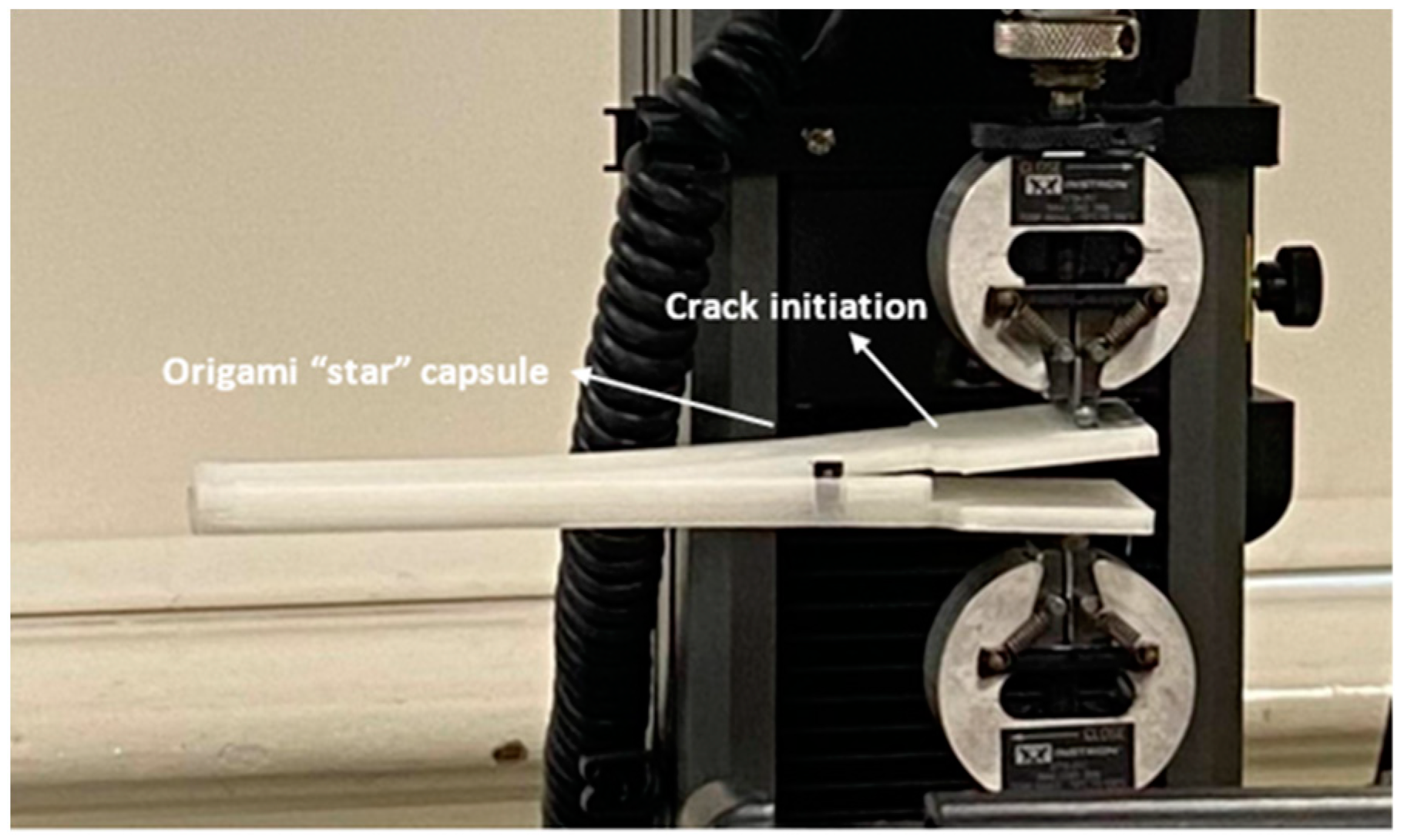 Polymers 15 03384 g013