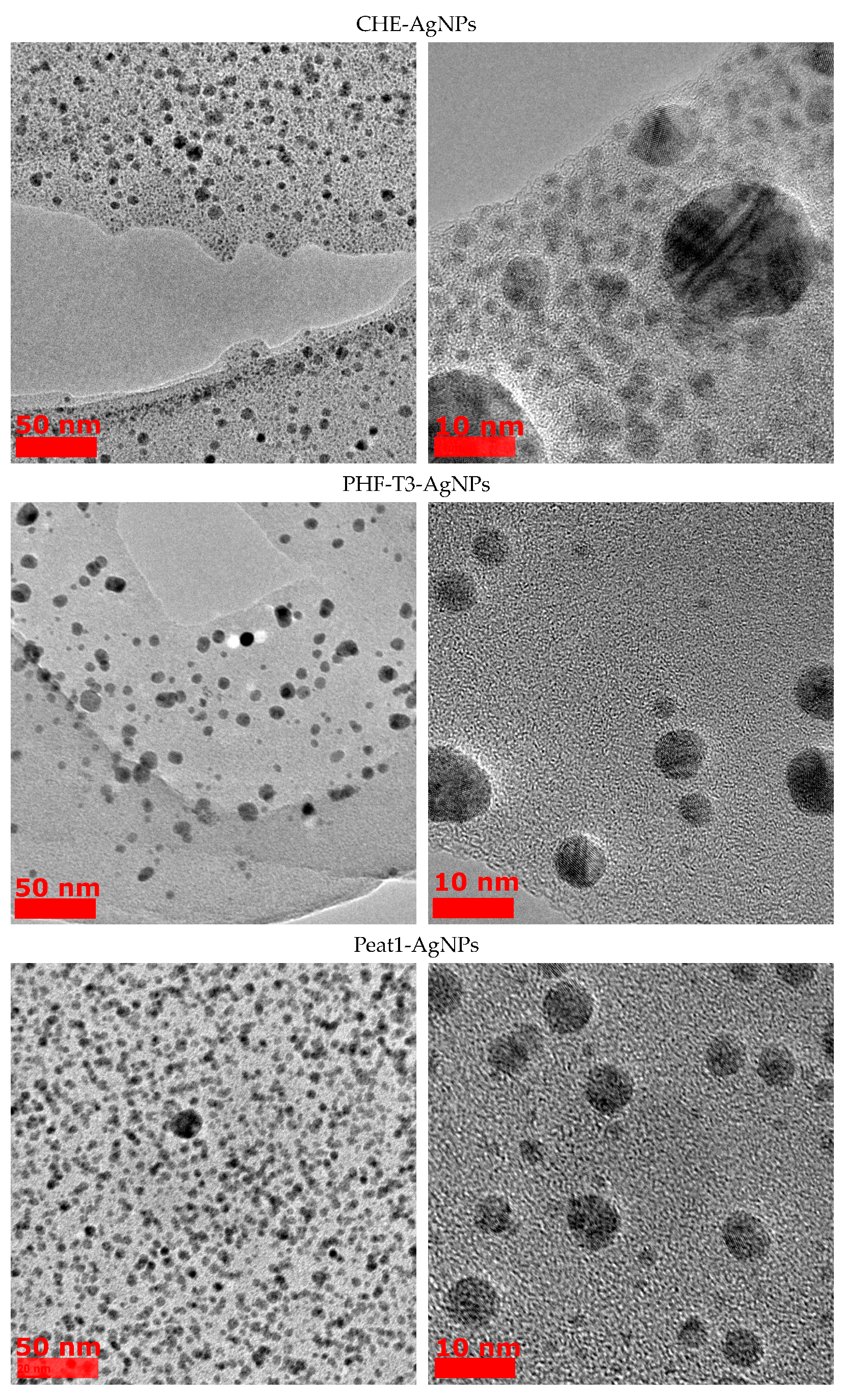 Polymers 15 03386 g002b Polymers 15 03386 g002b