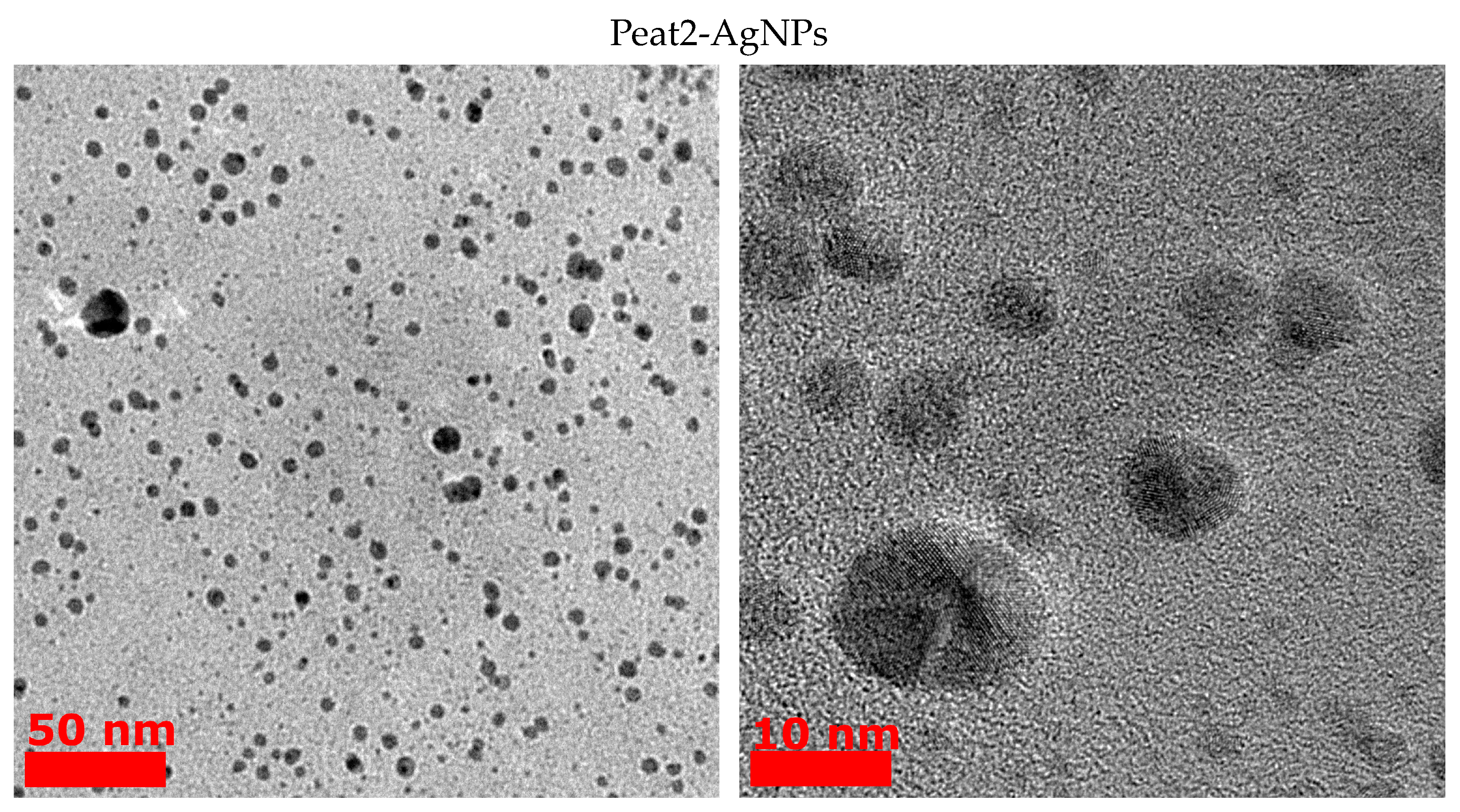 Polymers 15 03386 g002c Polymers 15 03386 g002c