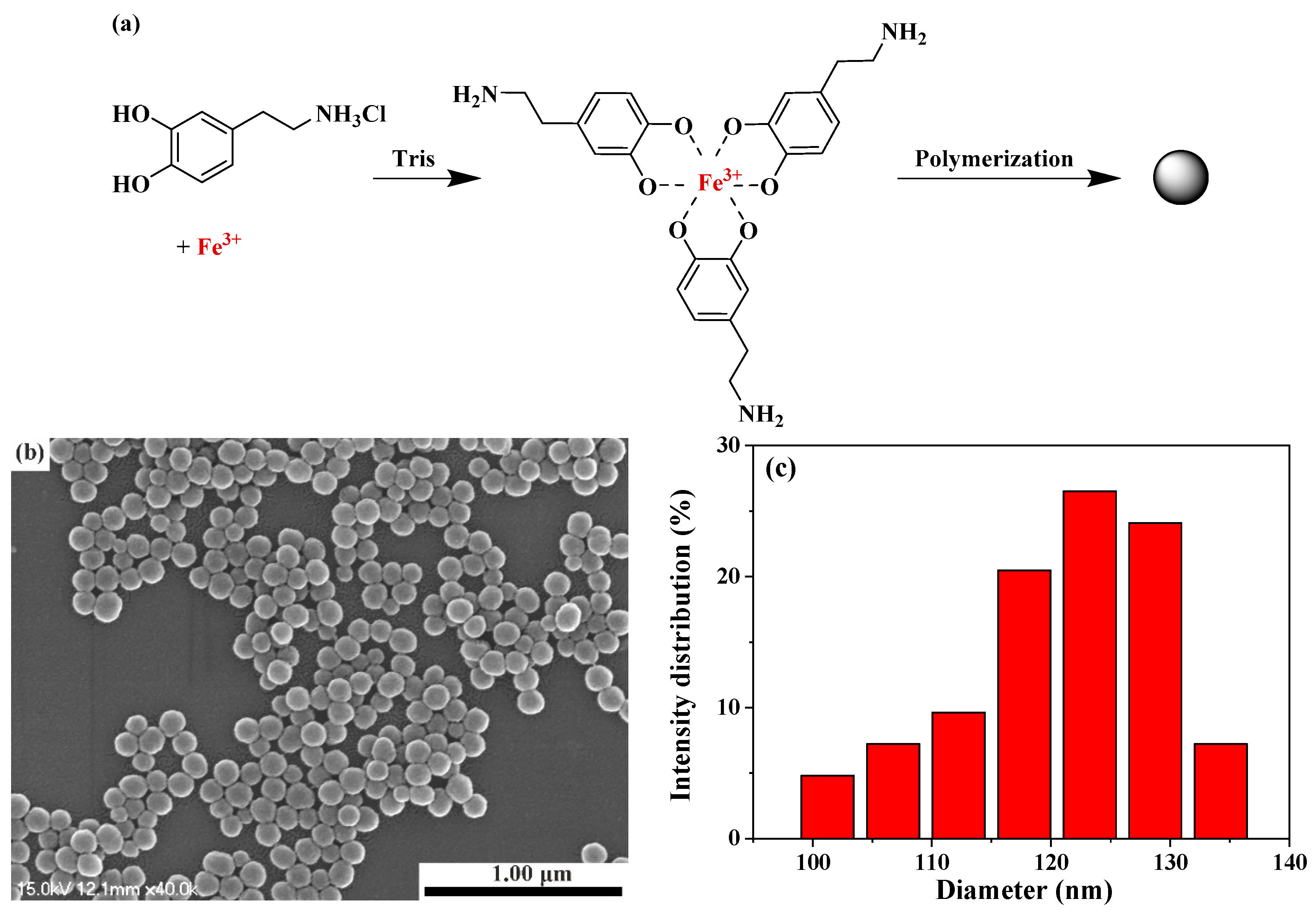 Polymers 15 03394 g004 Polymers 15 03394 g004