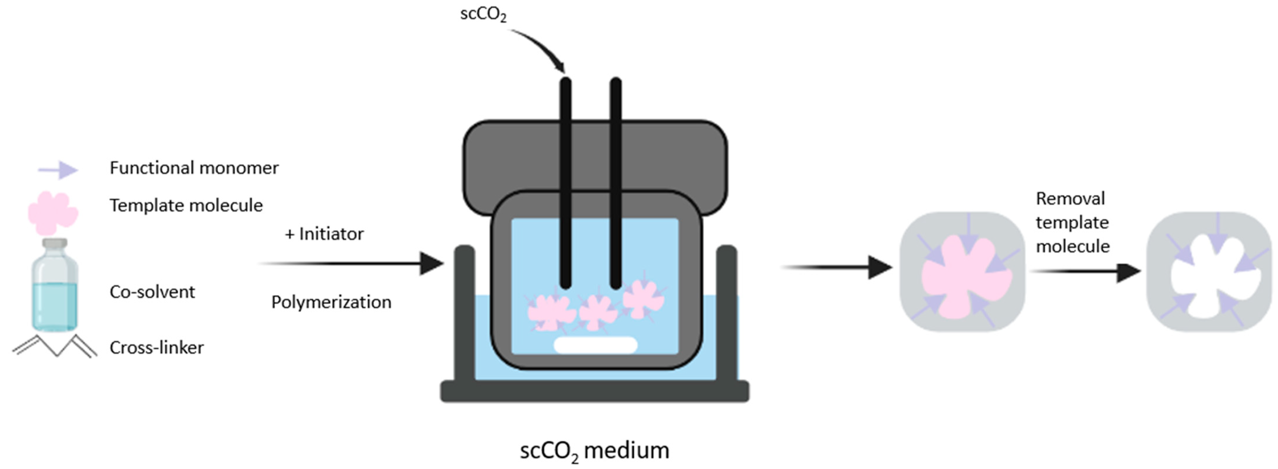 Polymers 15 03401 g004