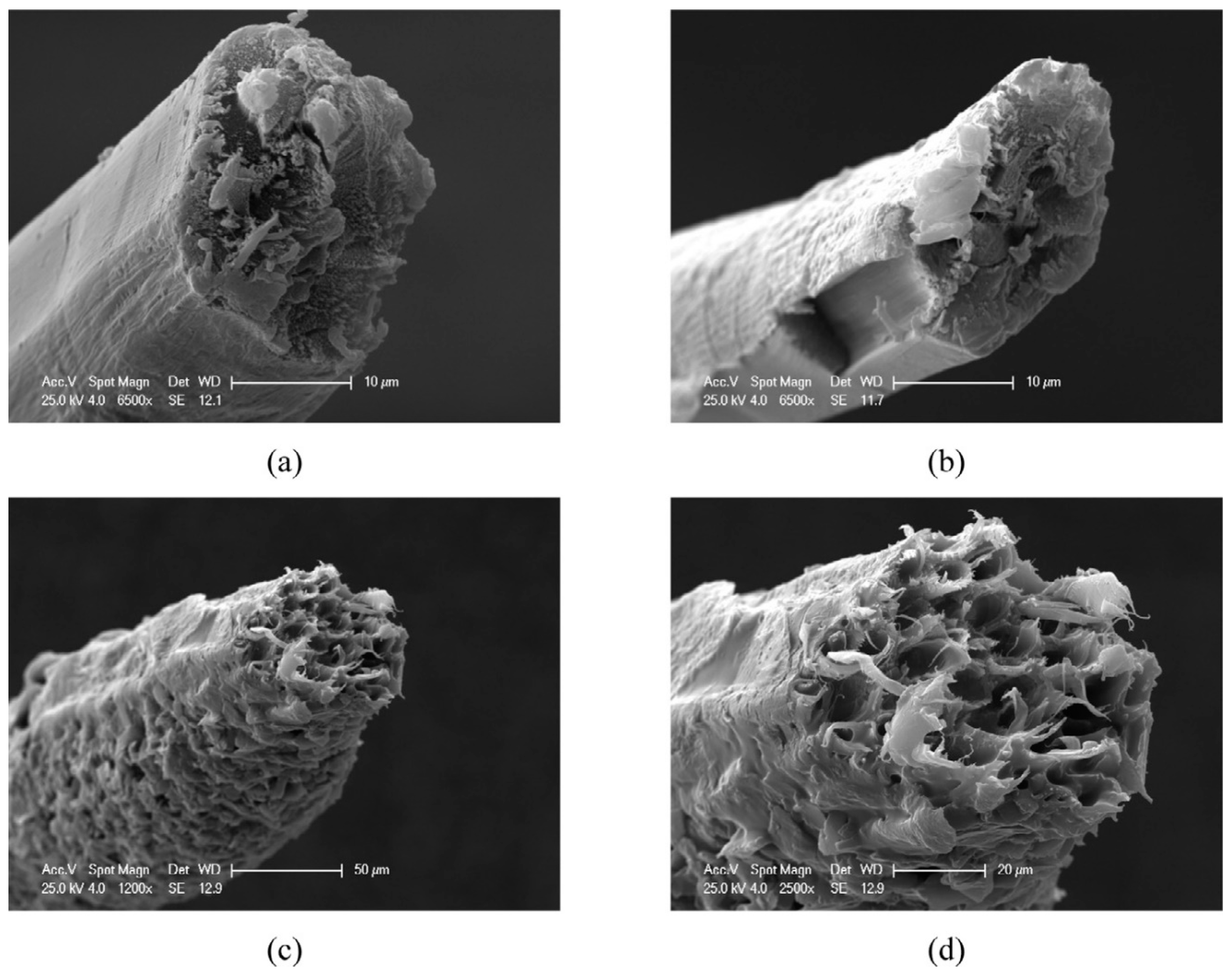 Polymers 15 03414 g004 Polymers 15 03414 g004