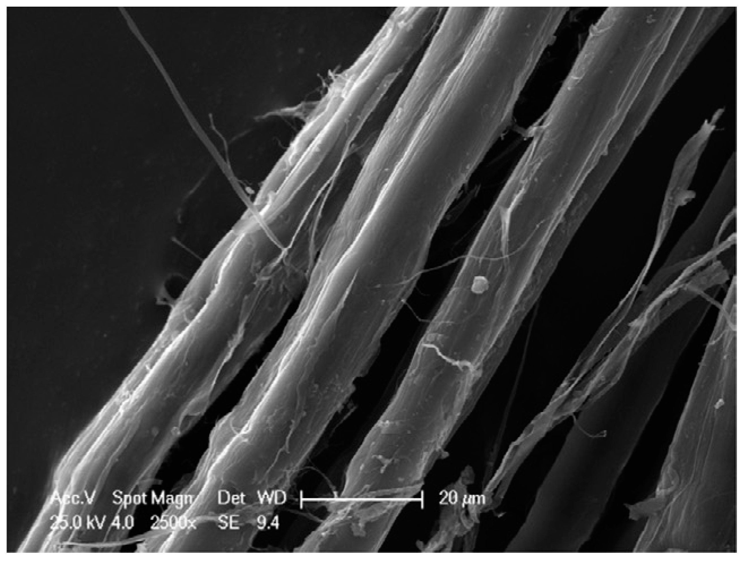 Polymers 15 03414 g006 Polymers 15 03414 g006