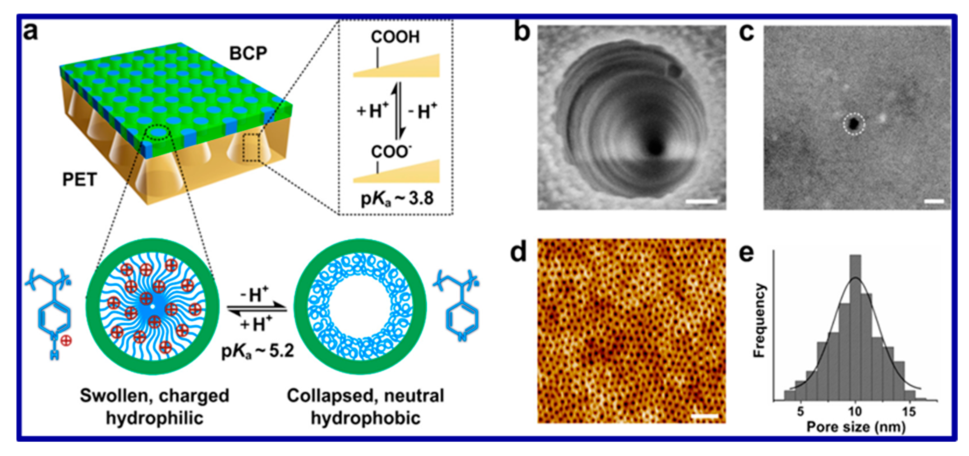 Polymers 15 03421 g013 Polymers 15 03421 g013