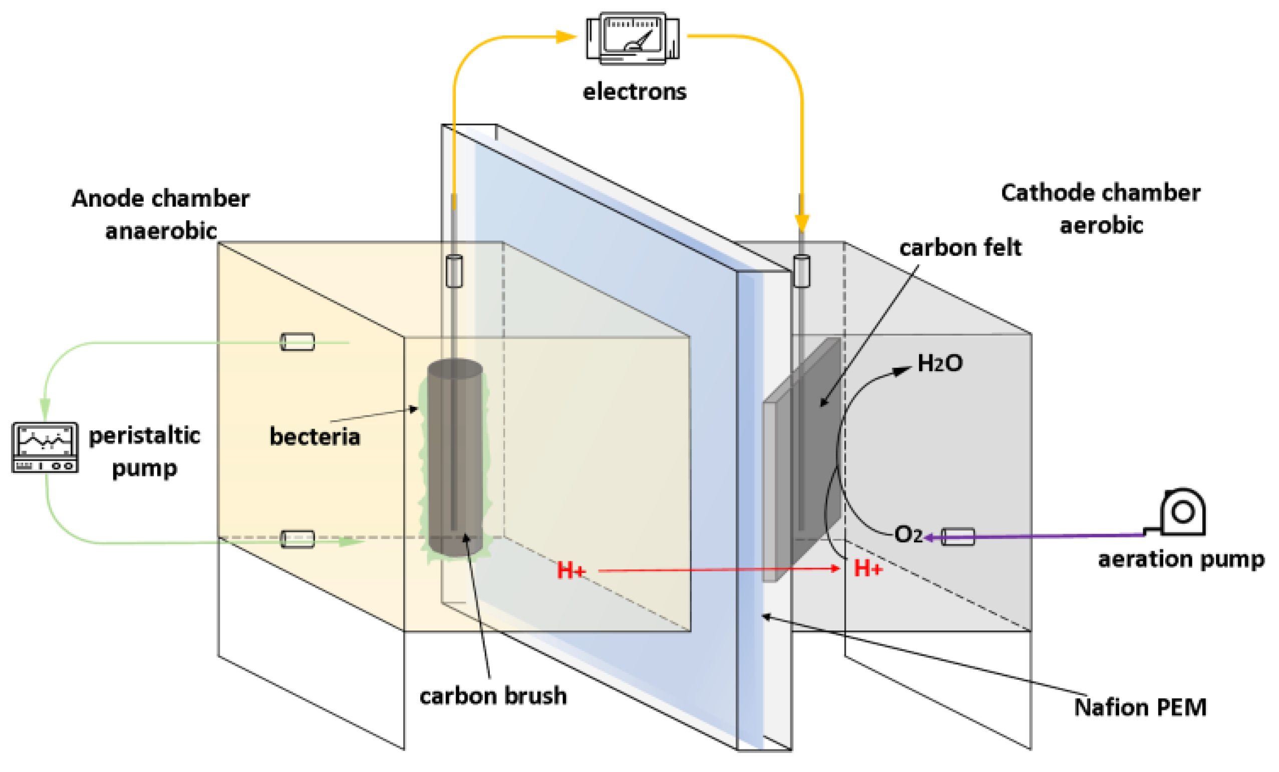 Polymers 15 03422 g001