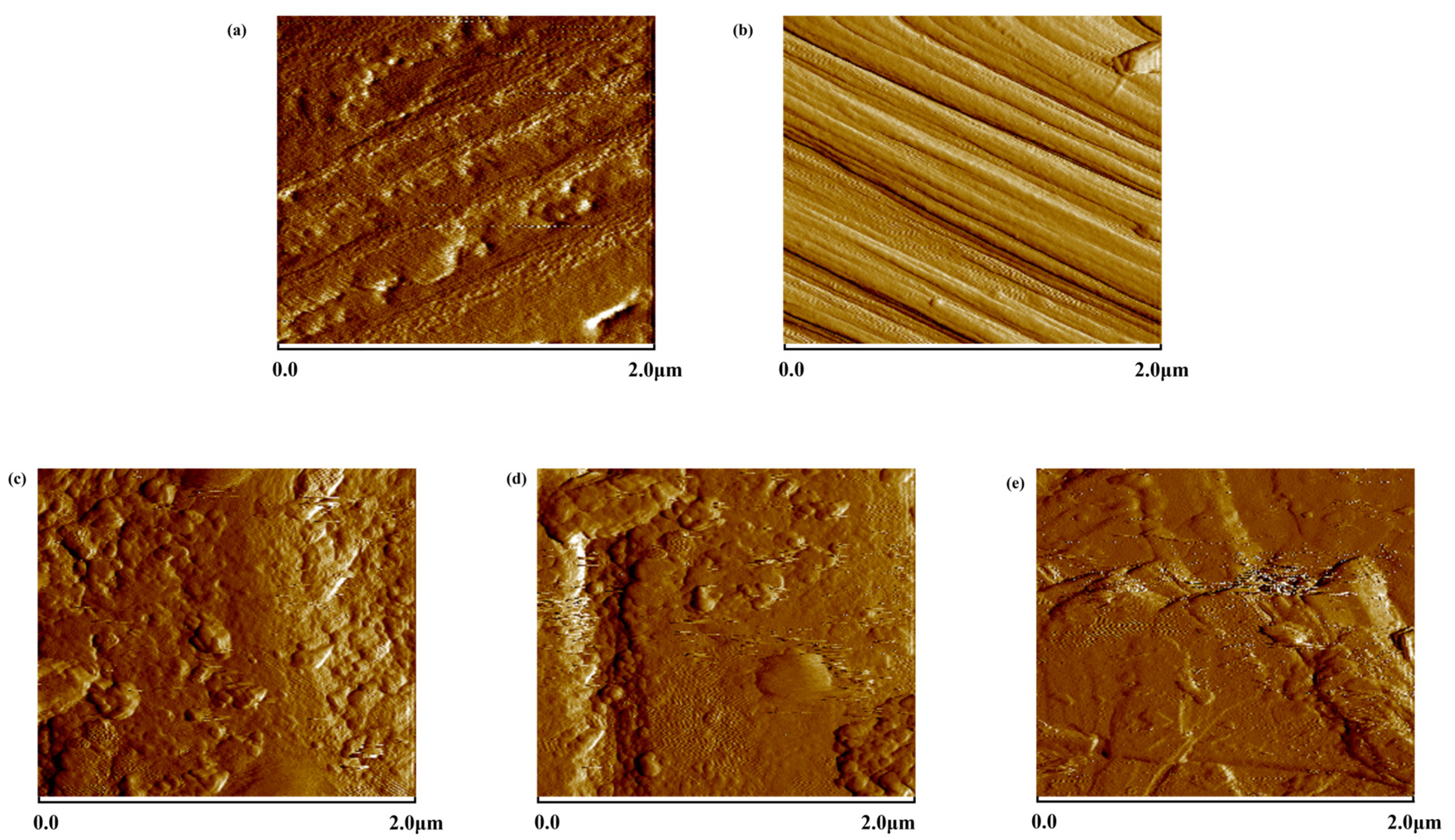 Polymers 15 03428 g004
