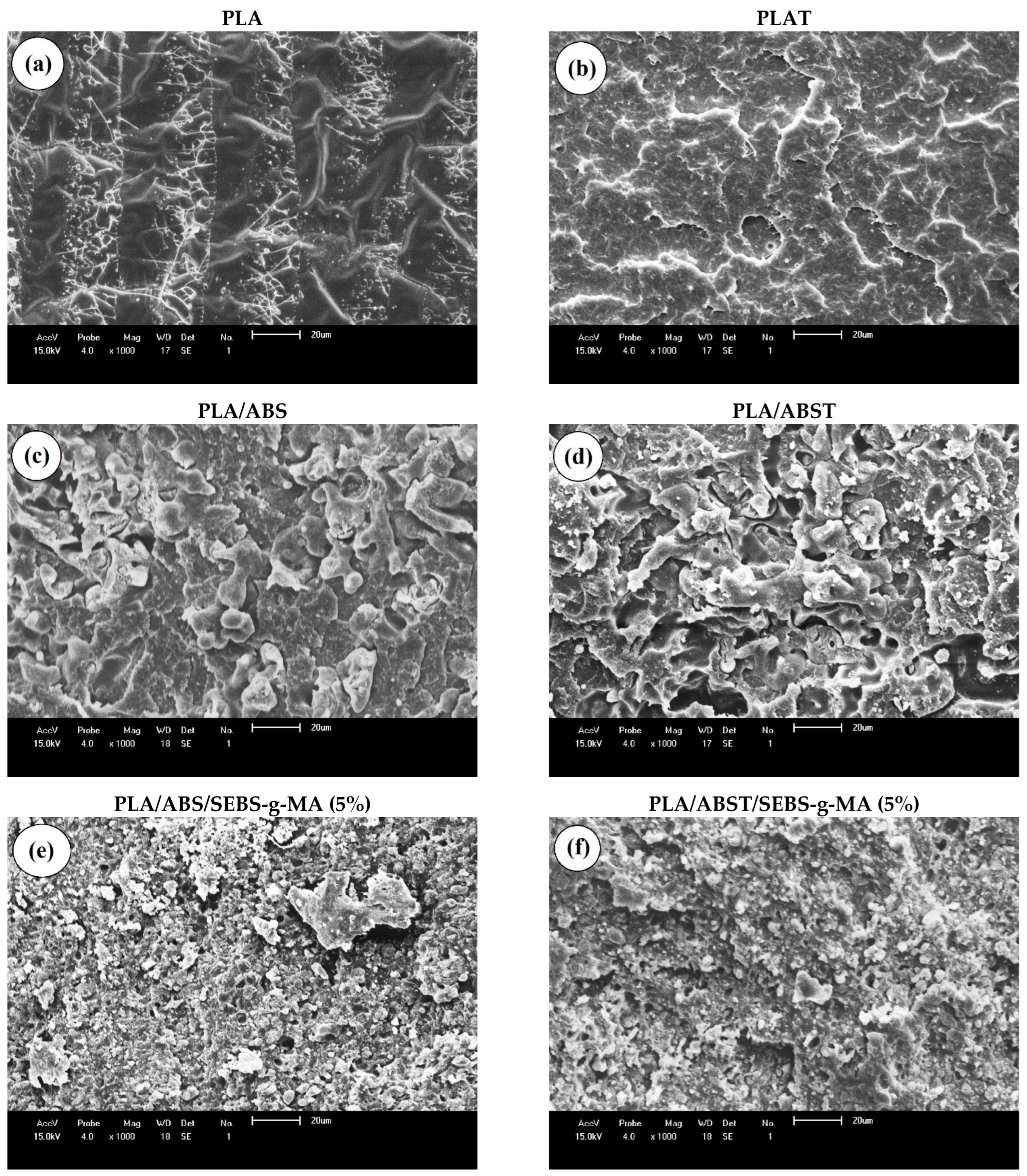 Polymers 15 03434 g013a