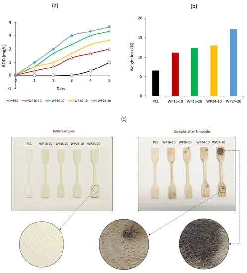 Waste wool/polycaprolactone filament towards sustainable use in 3D printing  - ScienceDirect