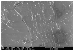 Polymers 15 03441 i002
