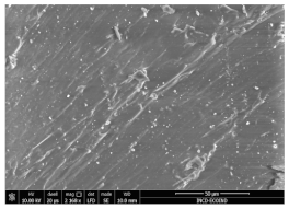 Polymers 15 03441 i003