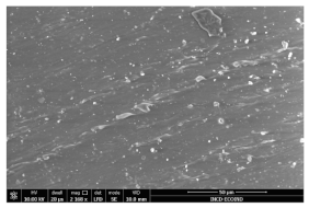 Polymers 15 03441 i008