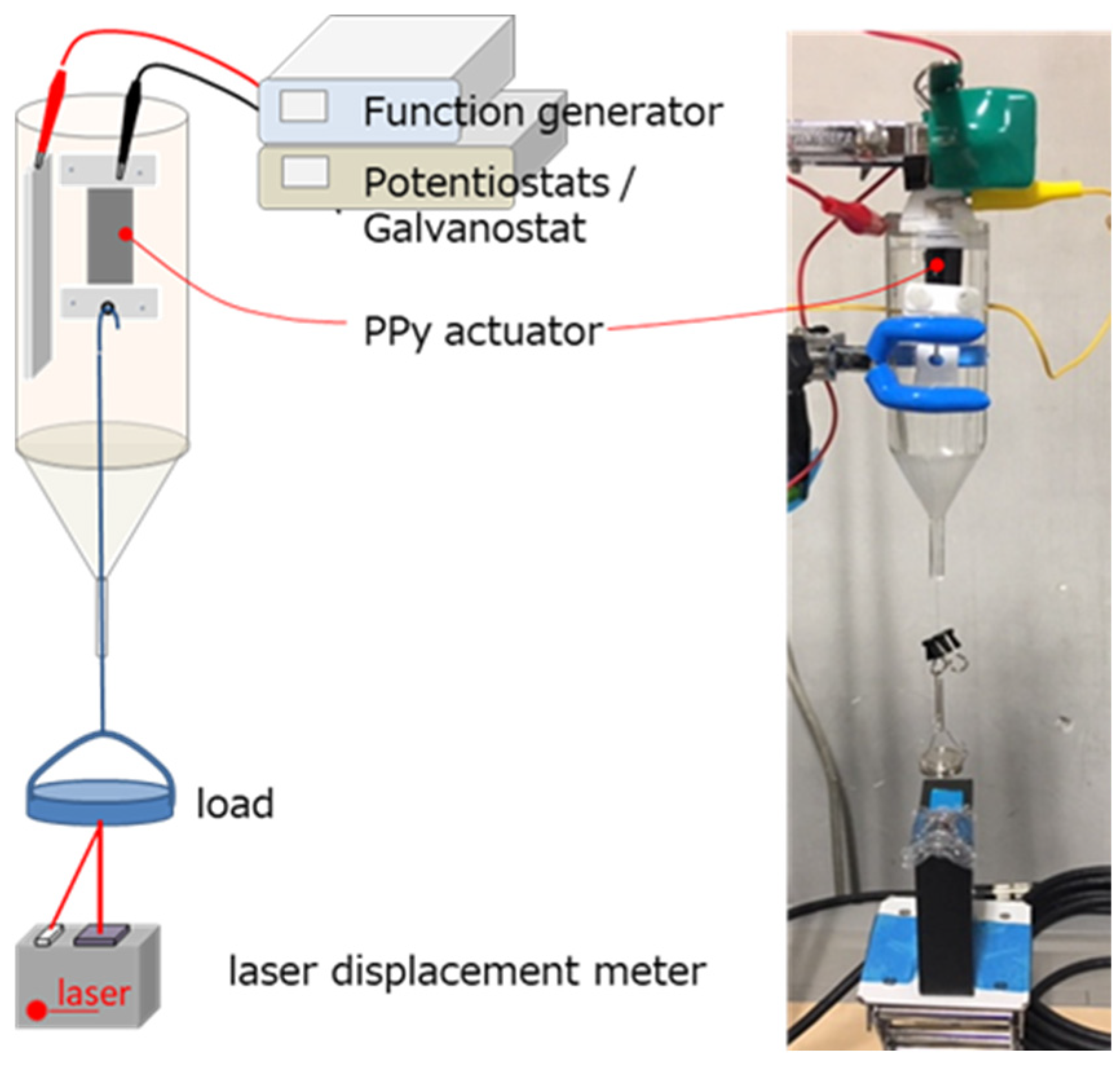 Polymers 15 03455 g002 Polymers 15 03455 g002