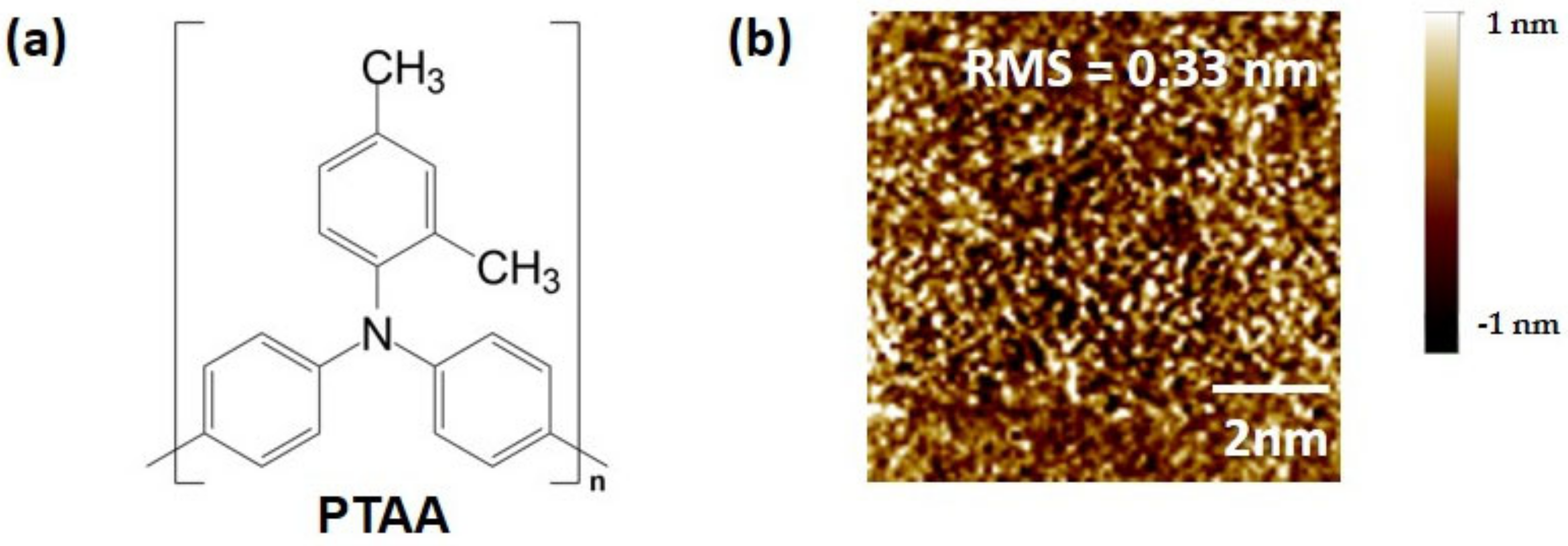 Polymers 15 03463 g001