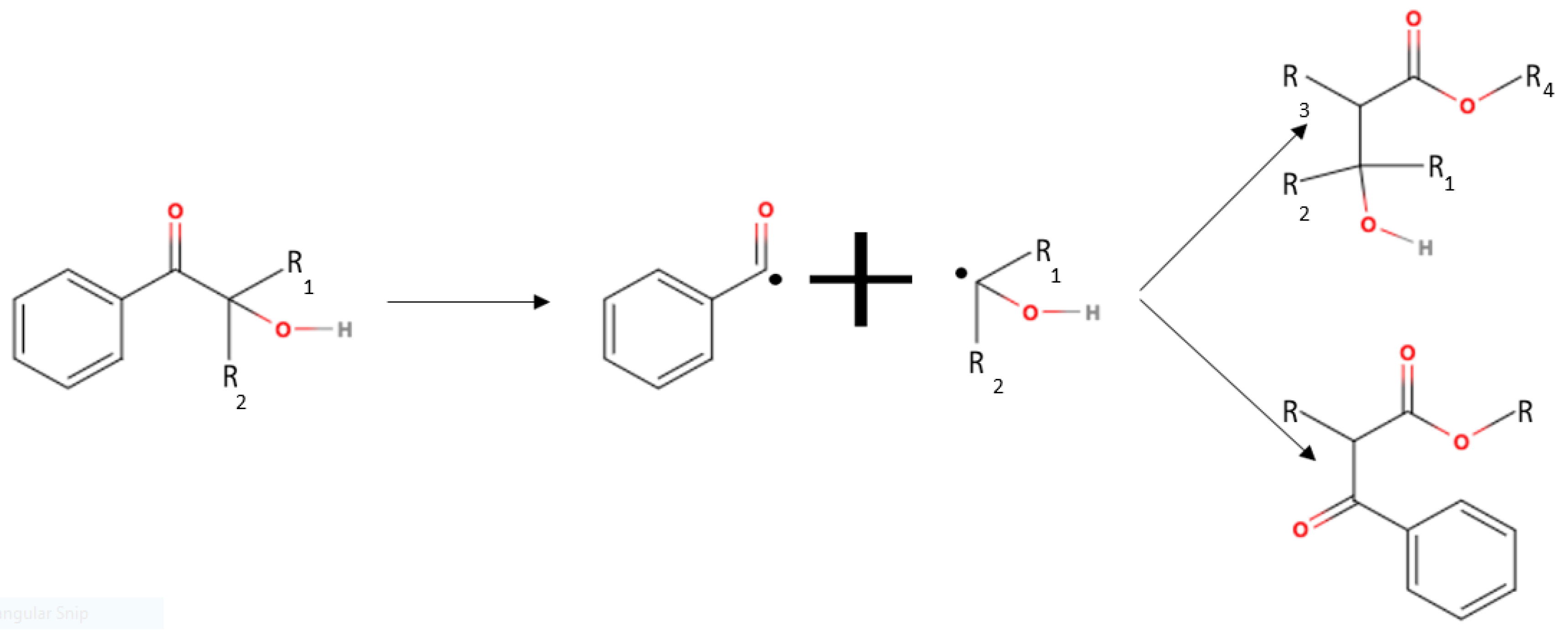 Polymers 15 03482 g001
