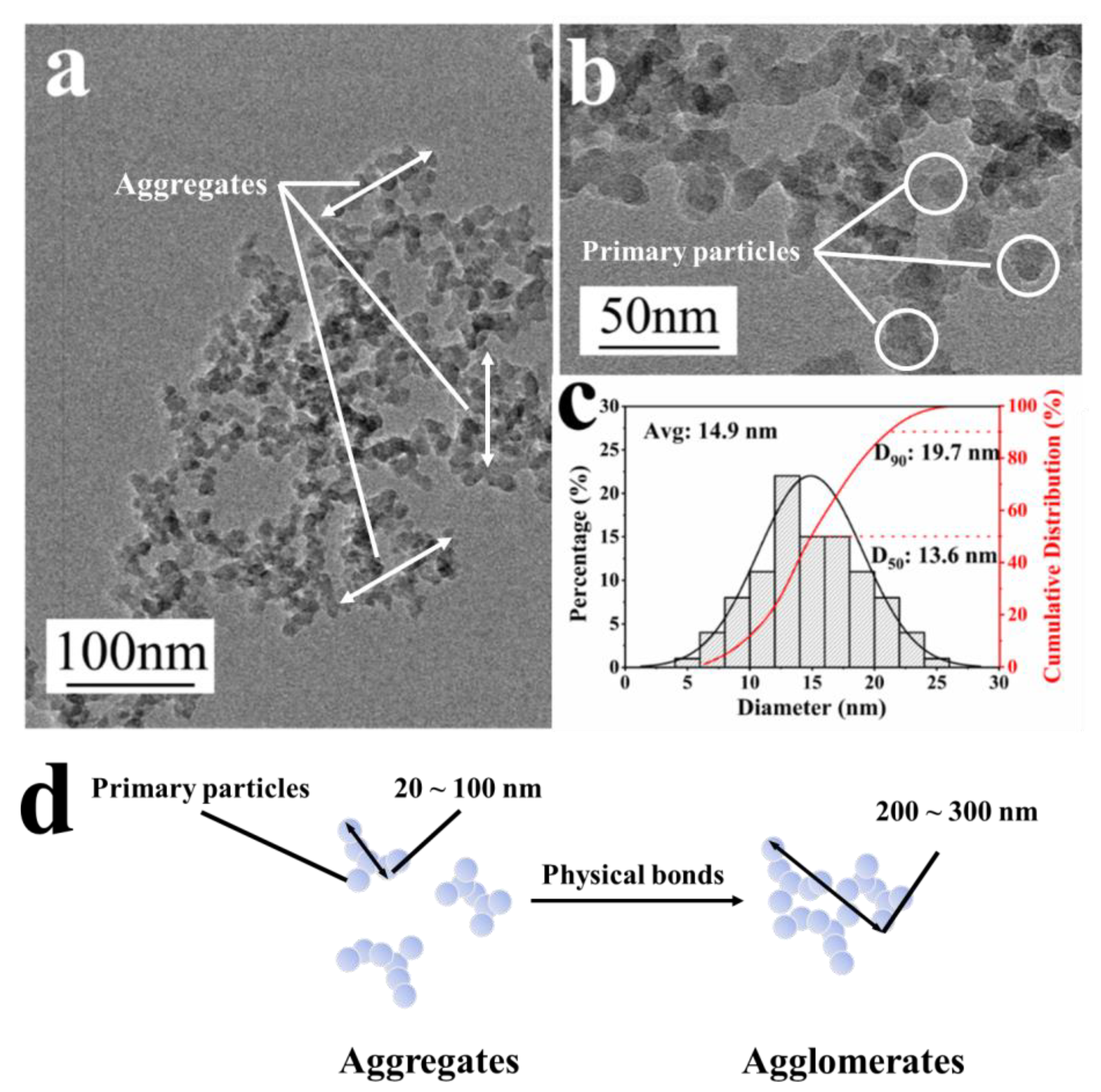 Polymers 15 03502 g002