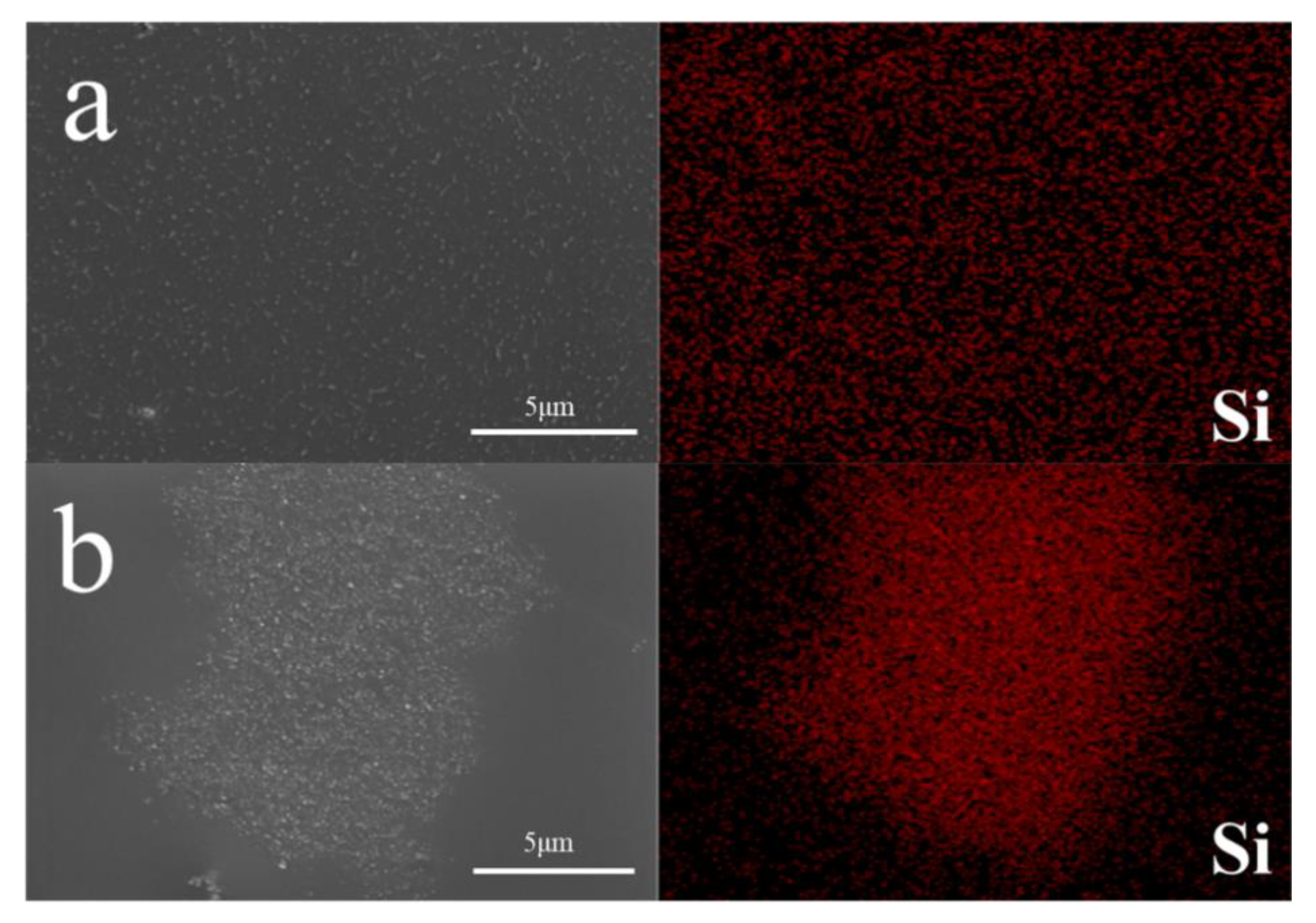 Polymers 15 03502 g012
