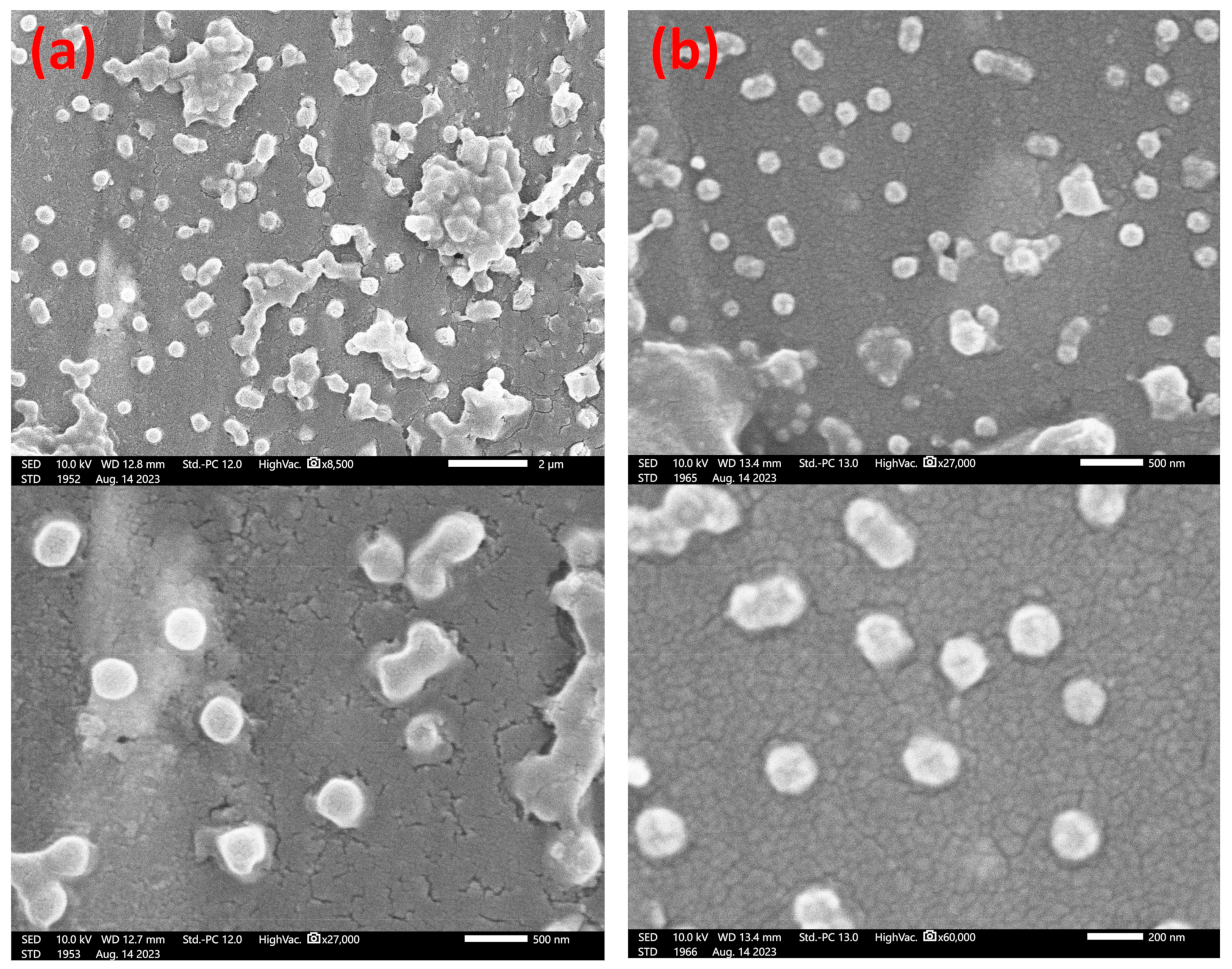 Polymers 15 03507 g004 Polymers 15 03507 g004