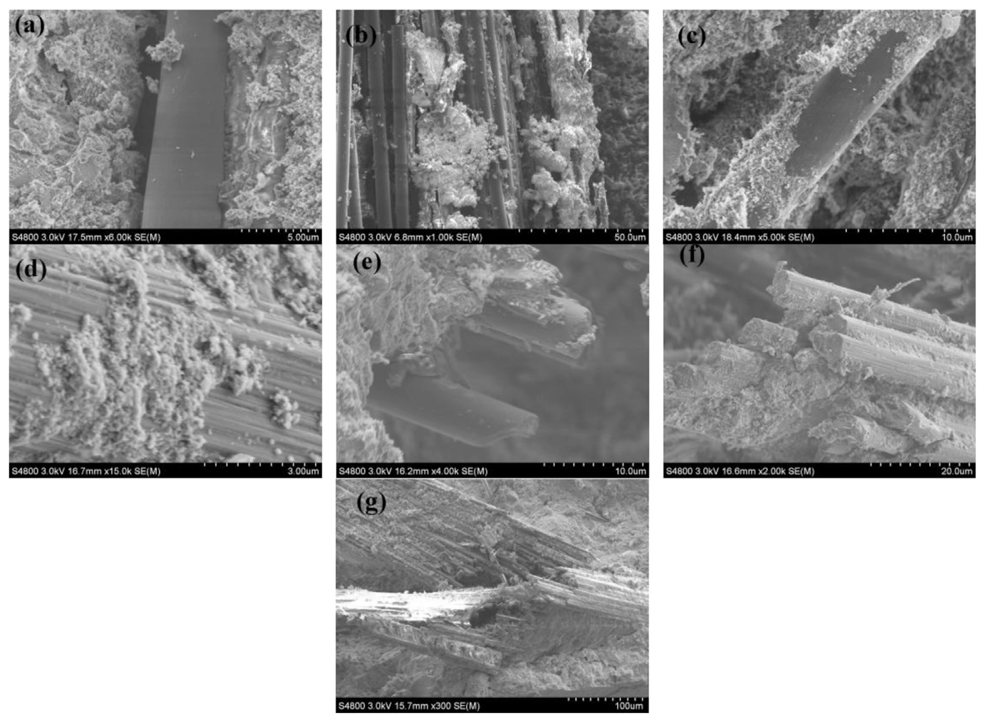 Polymers 15 03508 g010 Polymers 15 03508 g010