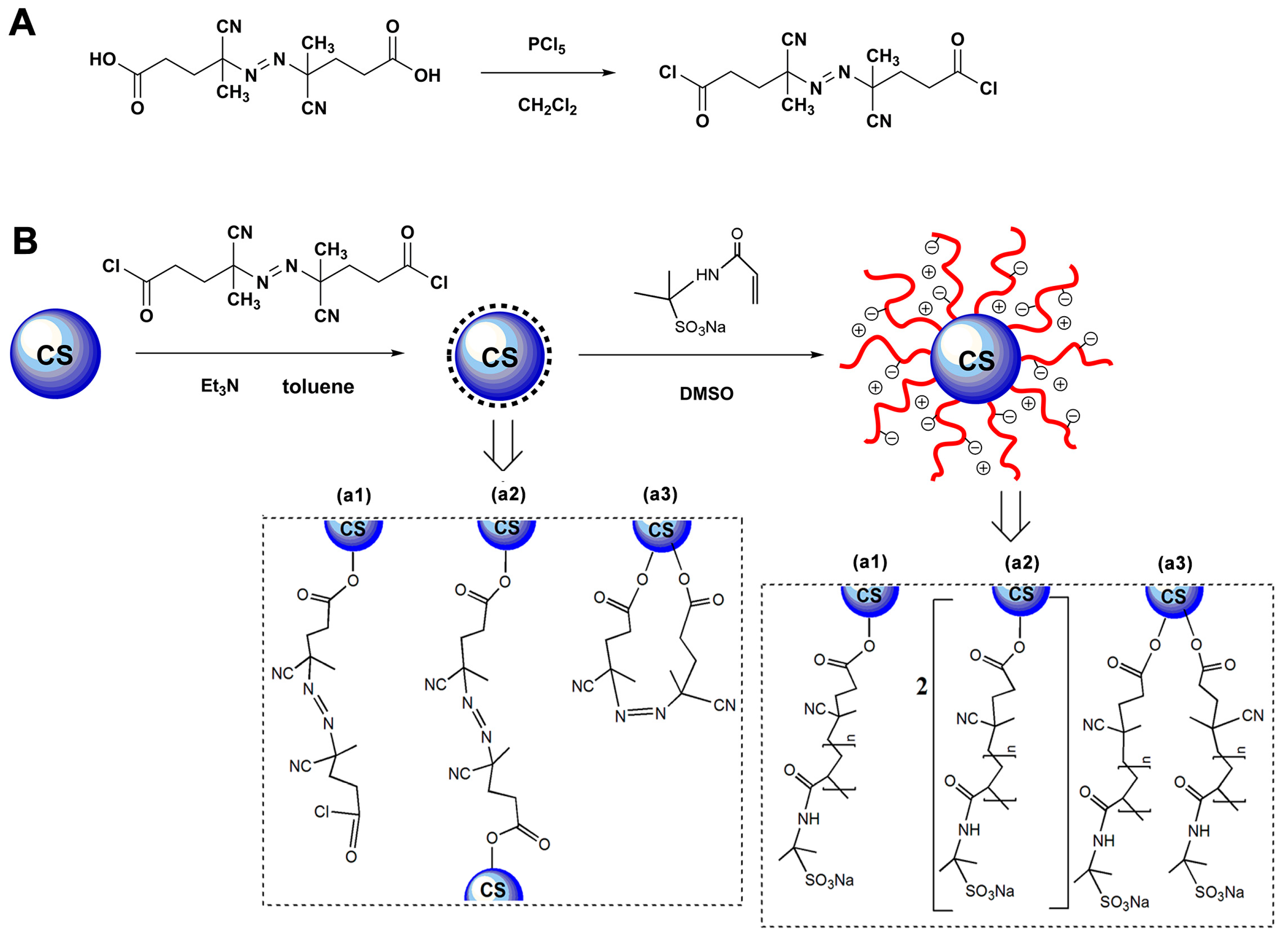 Polymers 15 03510 g002