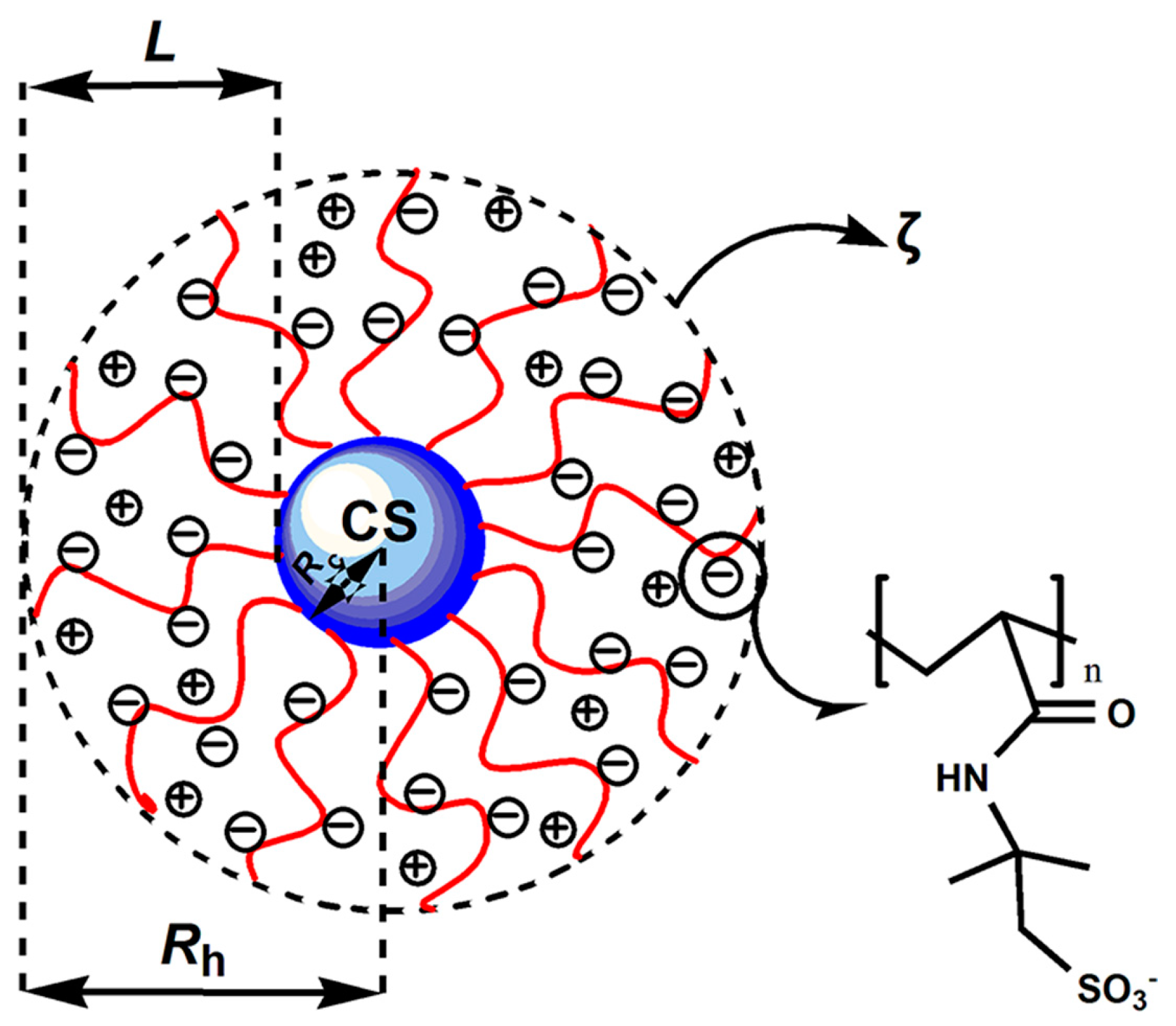 Polymers 15 03510 g003