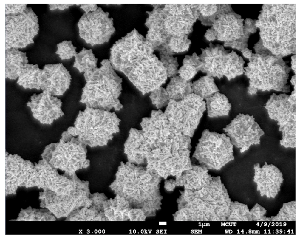 Polymers 15 03513 g009 Polymers 15 03513 g009