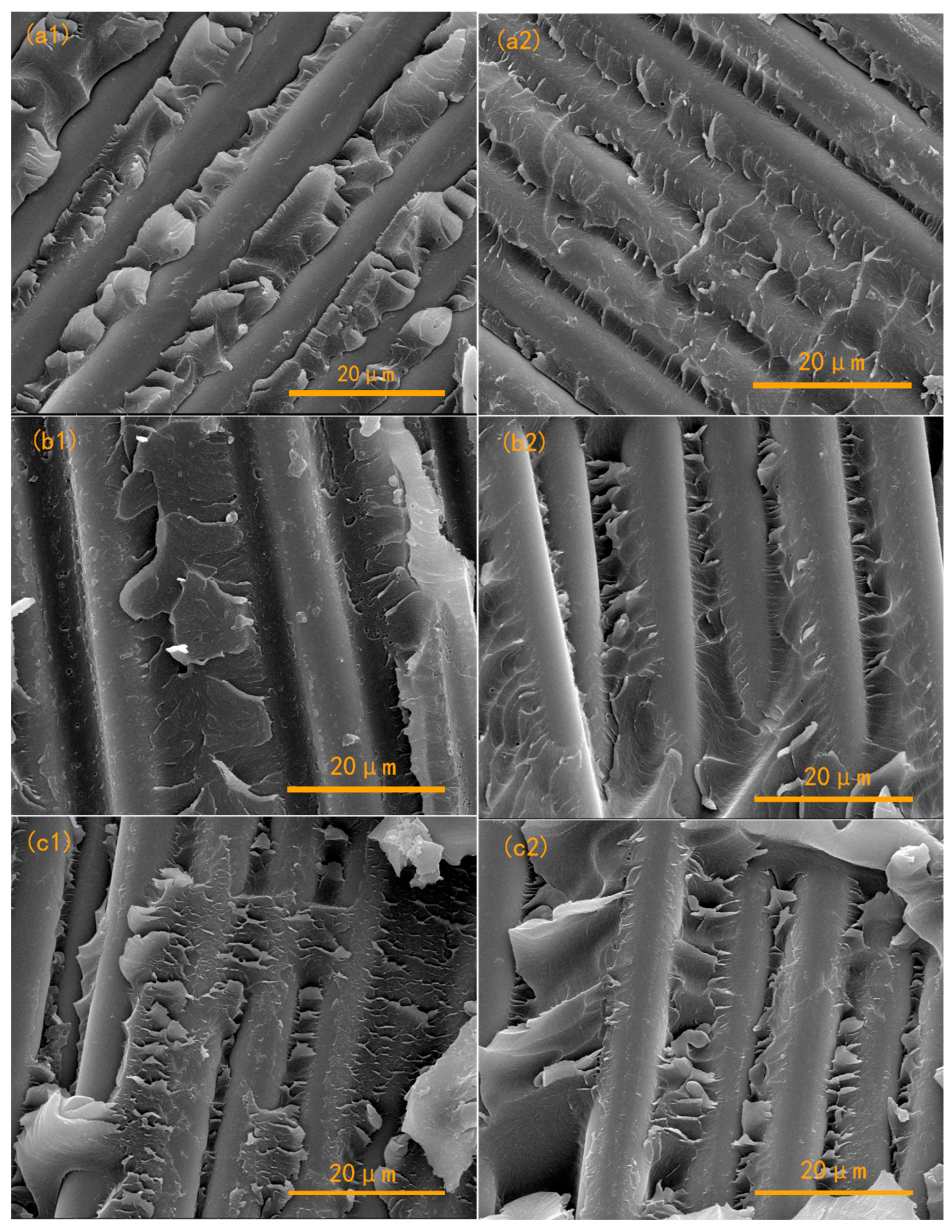 Polymers 15 03516 g008