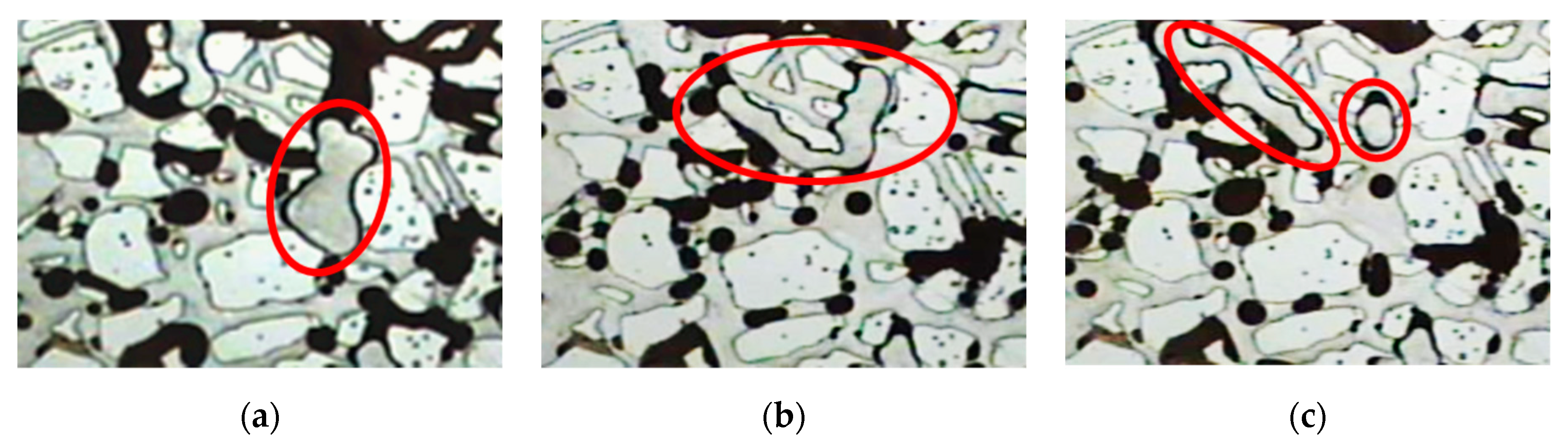 Polymers 15 03523 g008