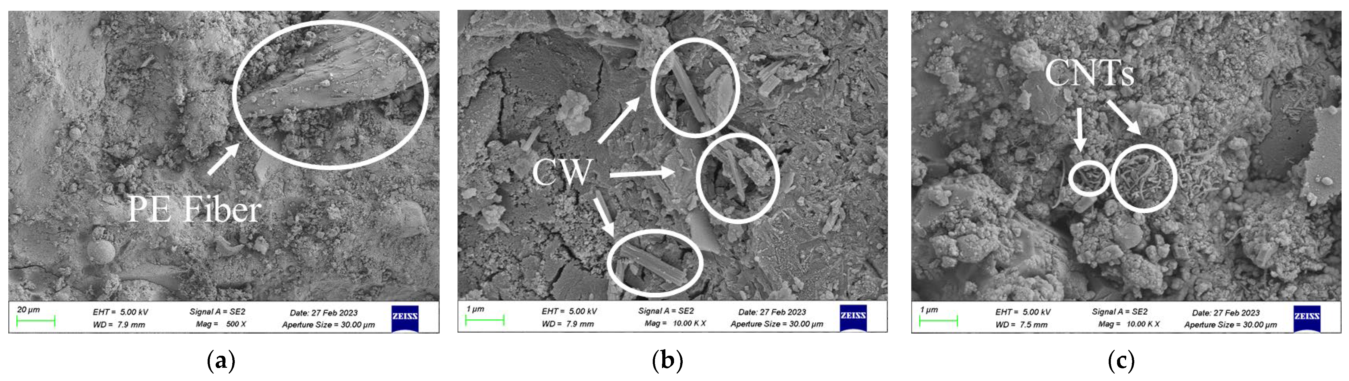 Polymers 15 03531 g006