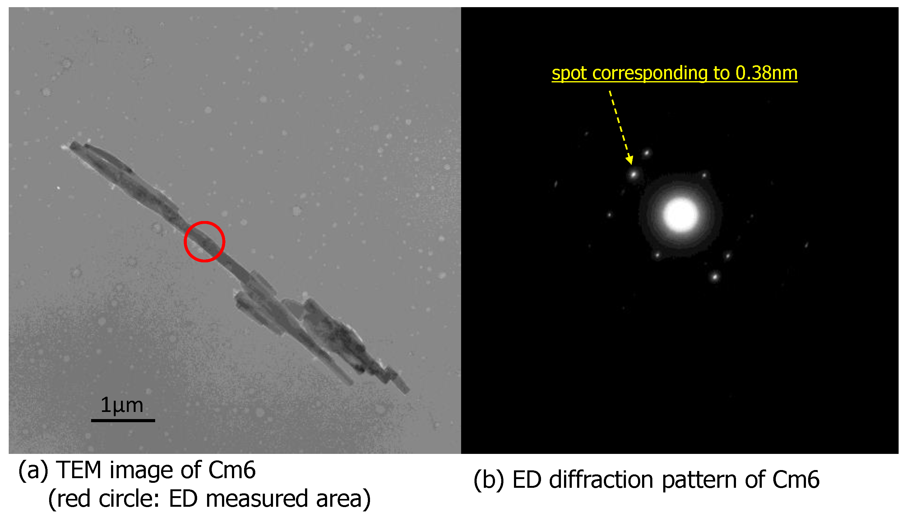 Polymers 15 03542 g008