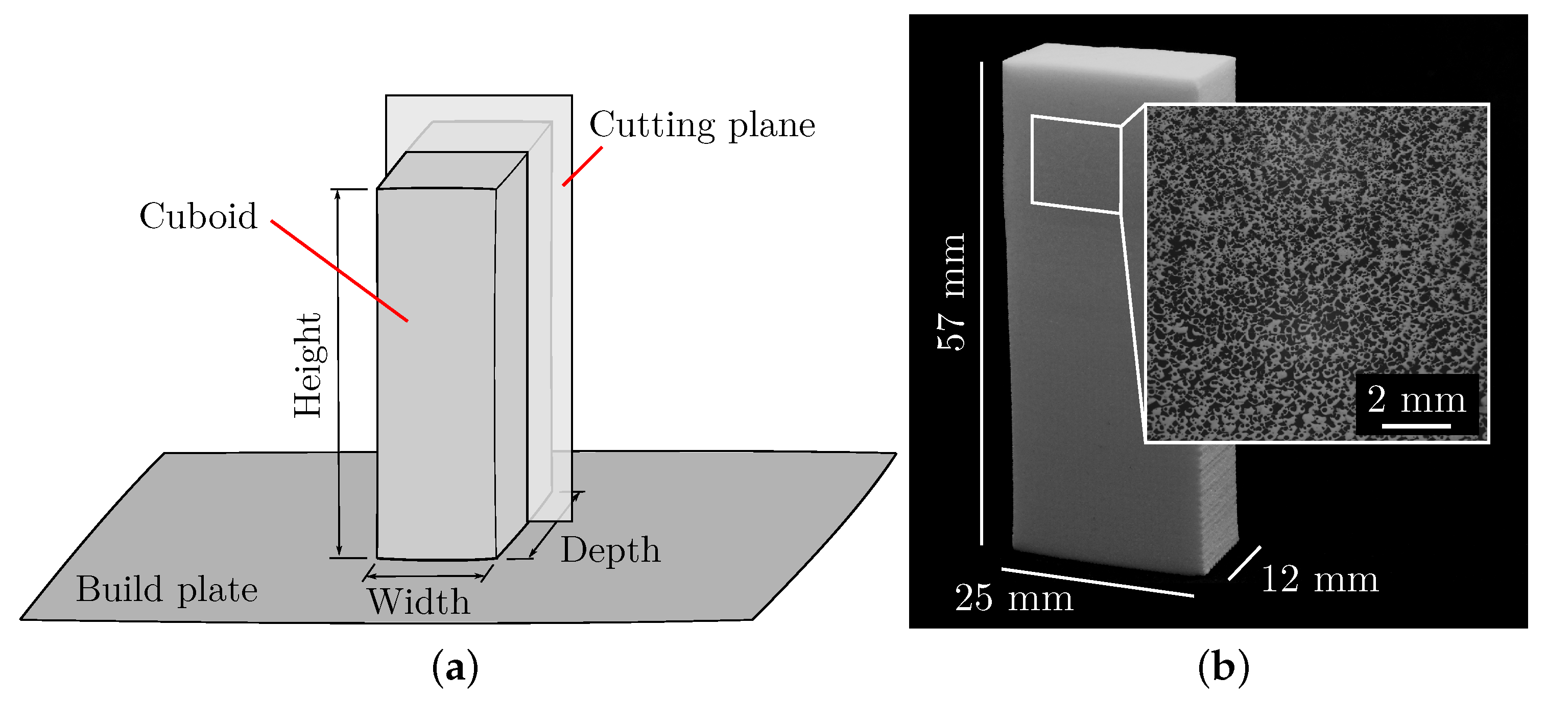 Polymers 15 03544 g003