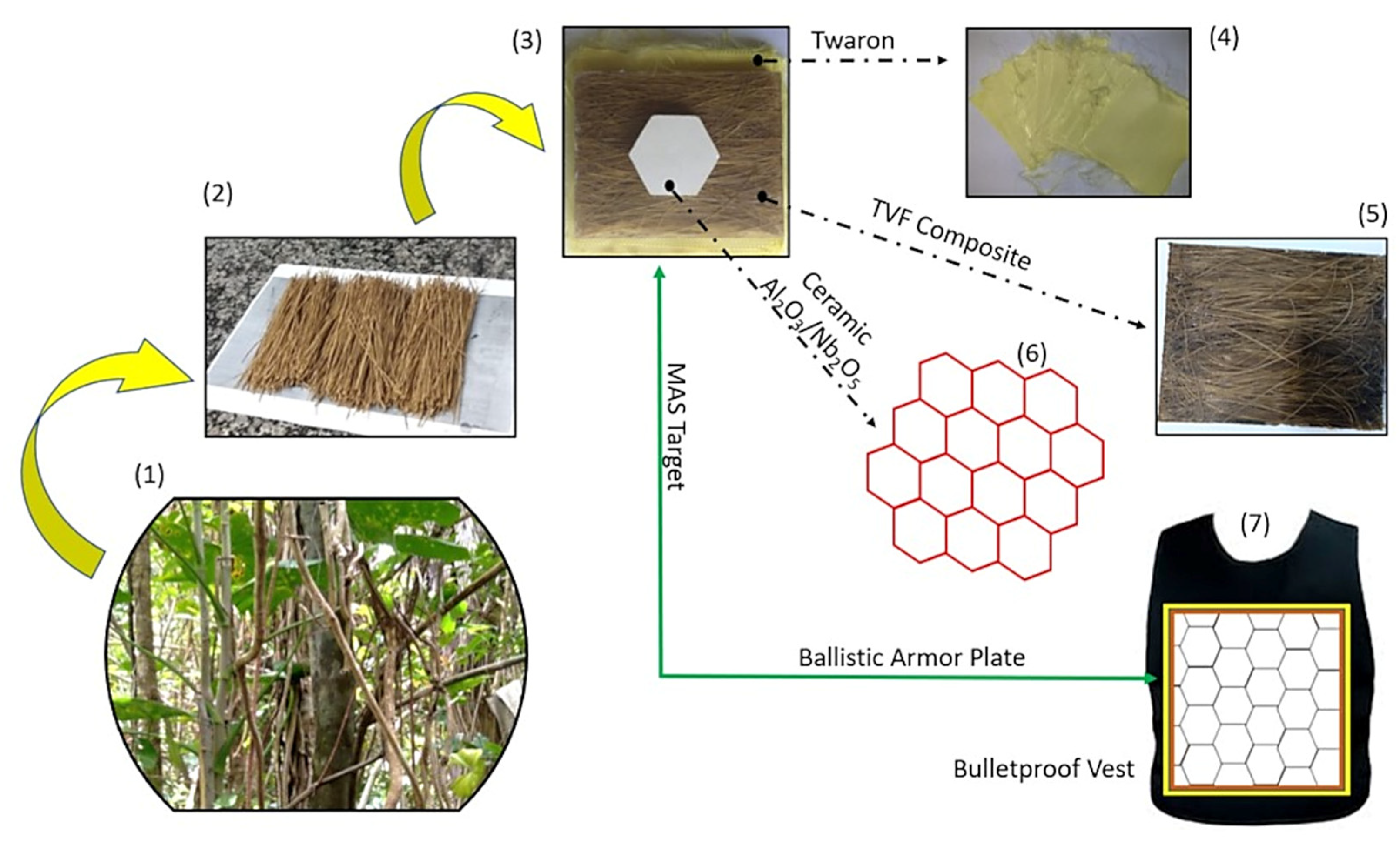Polymers | Free Full-Text | Ballistic Behavior of Epoxy Composites  Reinforced with Amazon Titica Vine Fibers (Heteropsis flexuosa) in  Multilayered Armor System and as Stand-Alone Target