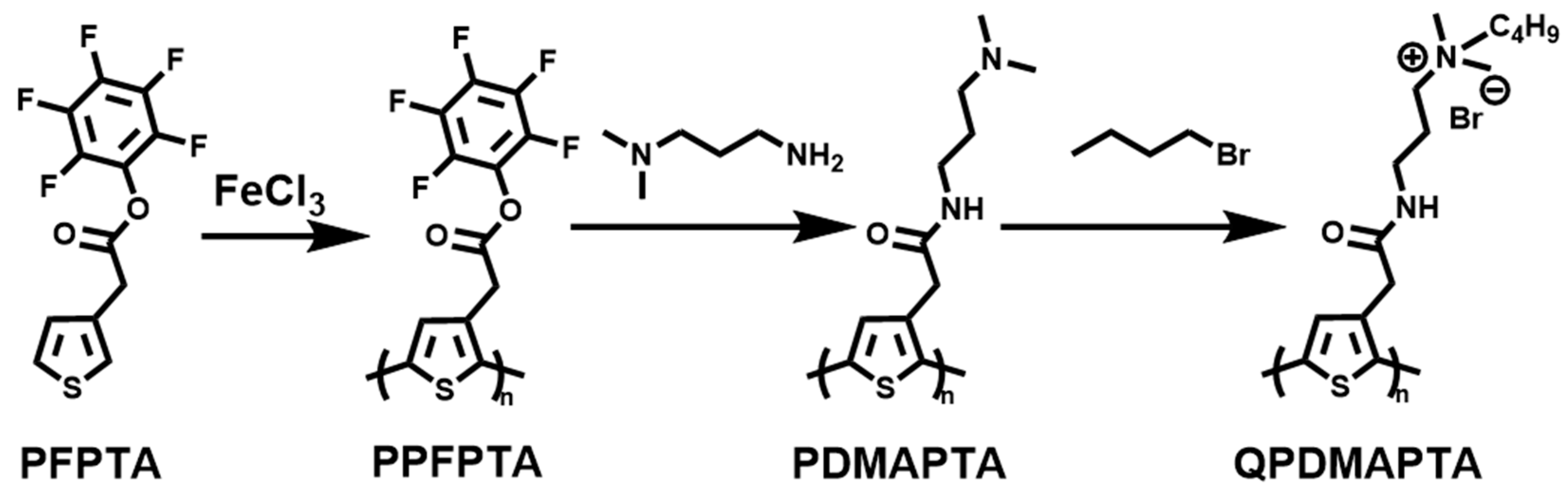 Polymers 15 03570 g004