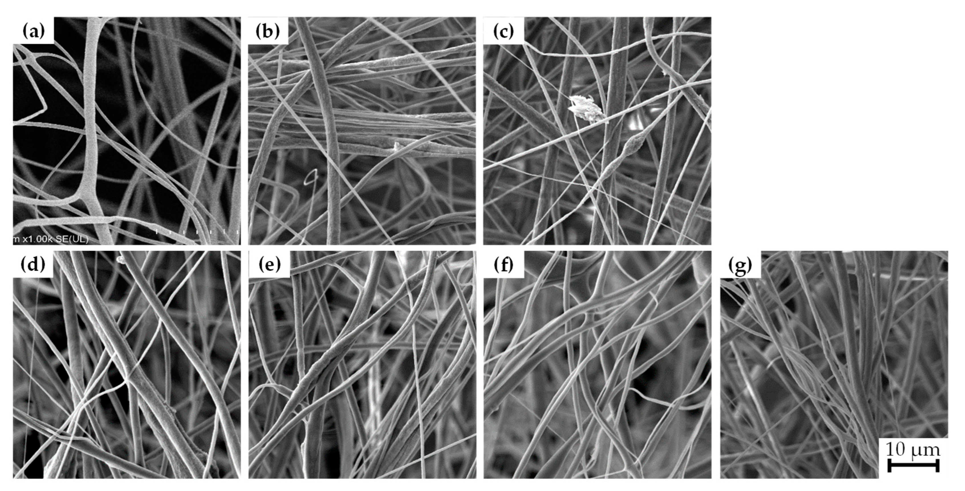 Polymers 15 03580 g004