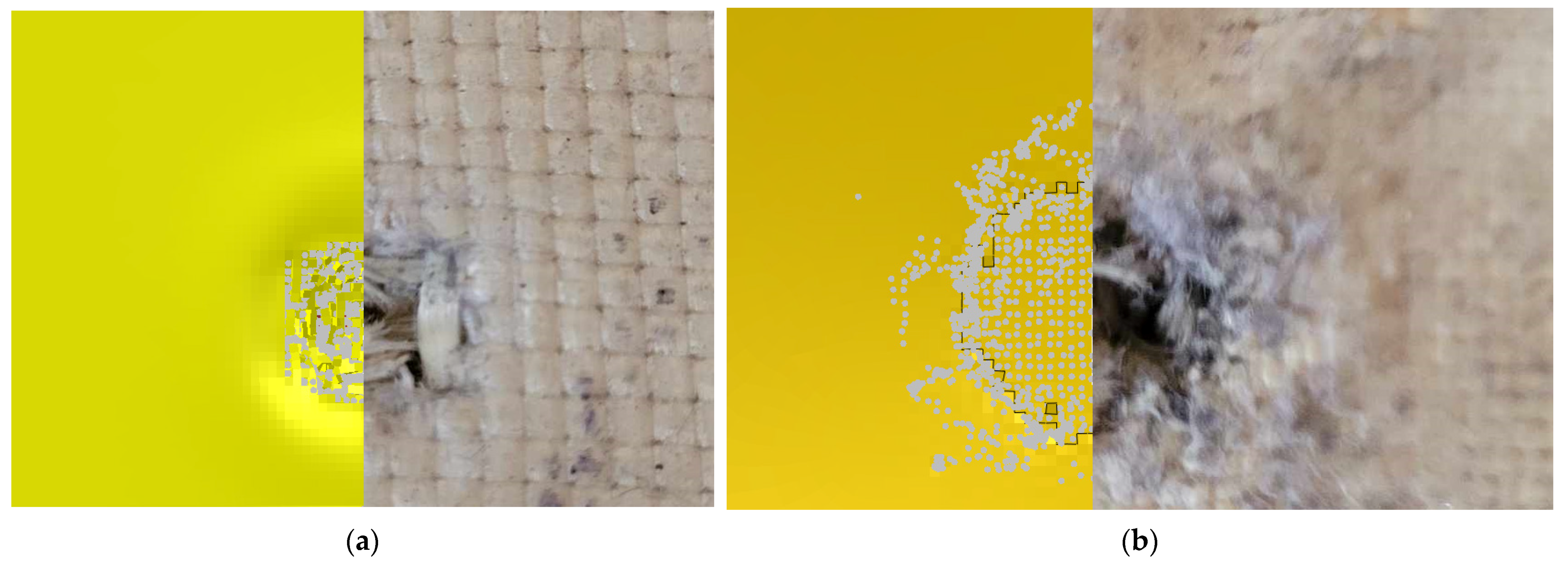 Polymers 15 03584 g011 Polymers 15 03584 g011