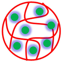 Polymers 15 03600 i002