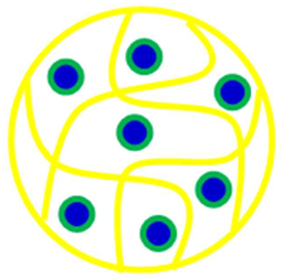 Polymers 15 03600 i003