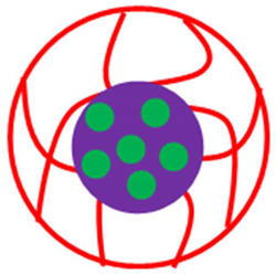 Polymers 15 03600 i004