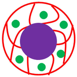 Polymers 15 03600 i006